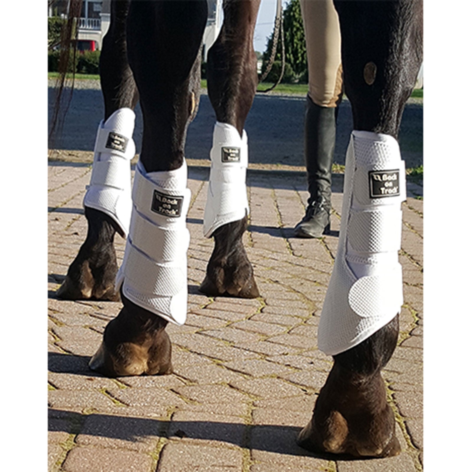 undefined Back on Track 3D Mesh Boots, S-M Leg Protection & Hoof Protection for Horses
