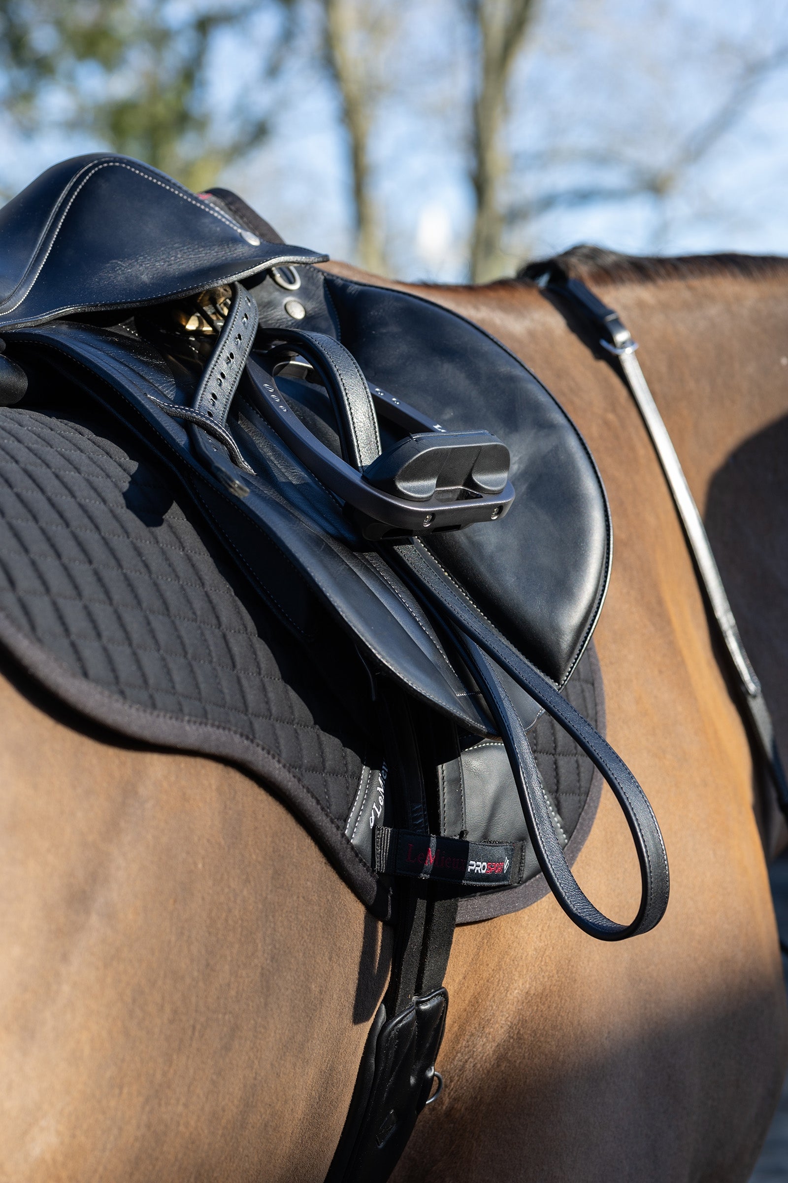 LeMieux Cotton GP Square Saddle Pads