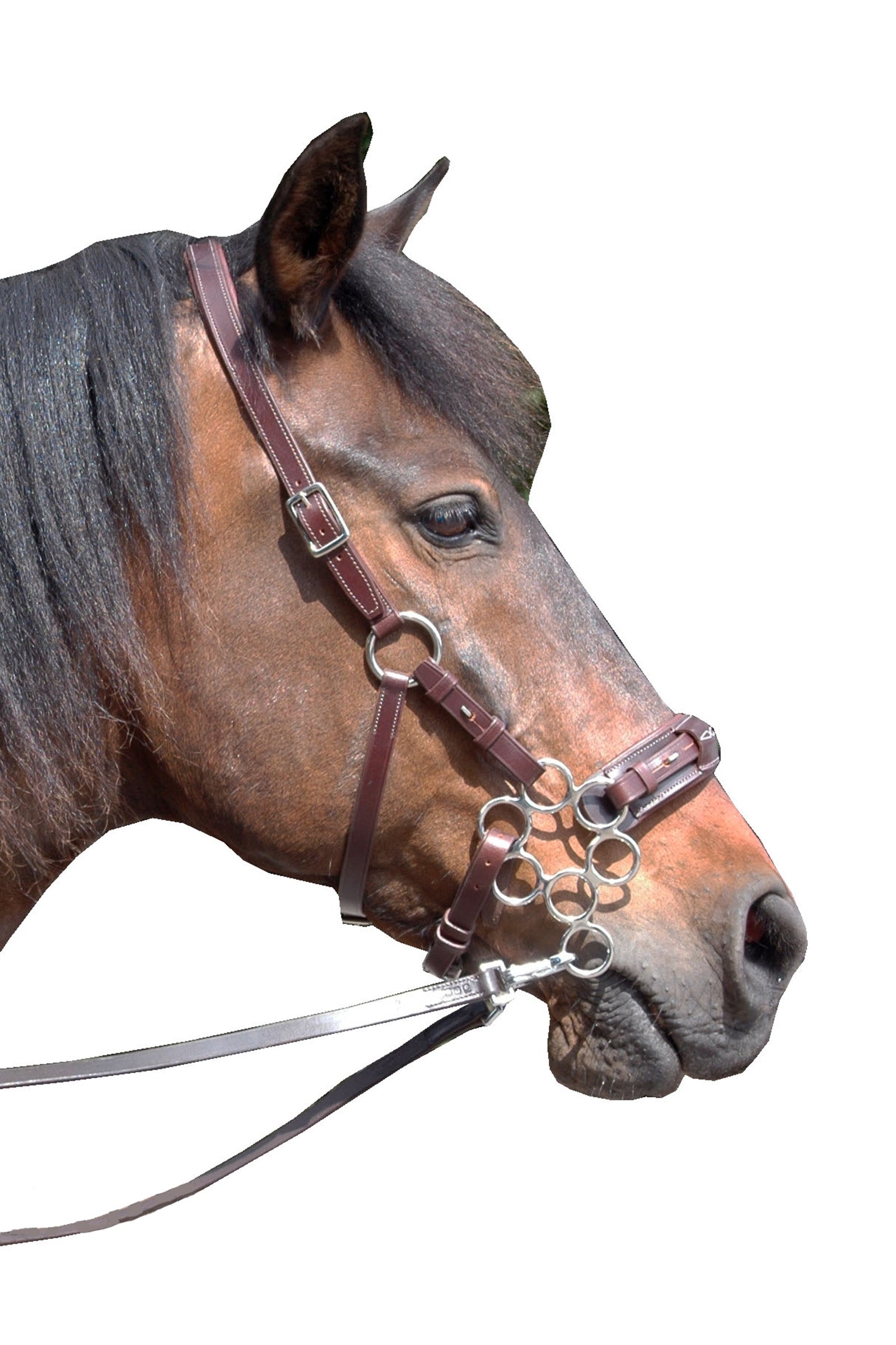 F.R.A. Freedom Riding Articles Aram Hackamore (System 2) Leather, Jaw Straps, w/ Scissors Bridles & Reins