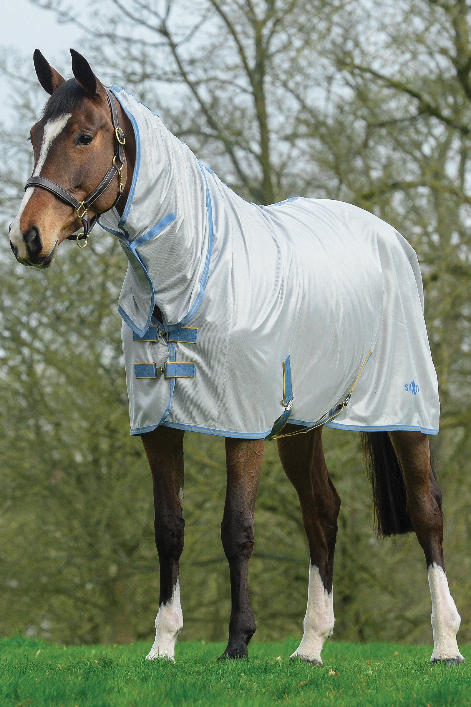 Saxon Mesh Combo Rug with Fixed Neck Horse Rugs