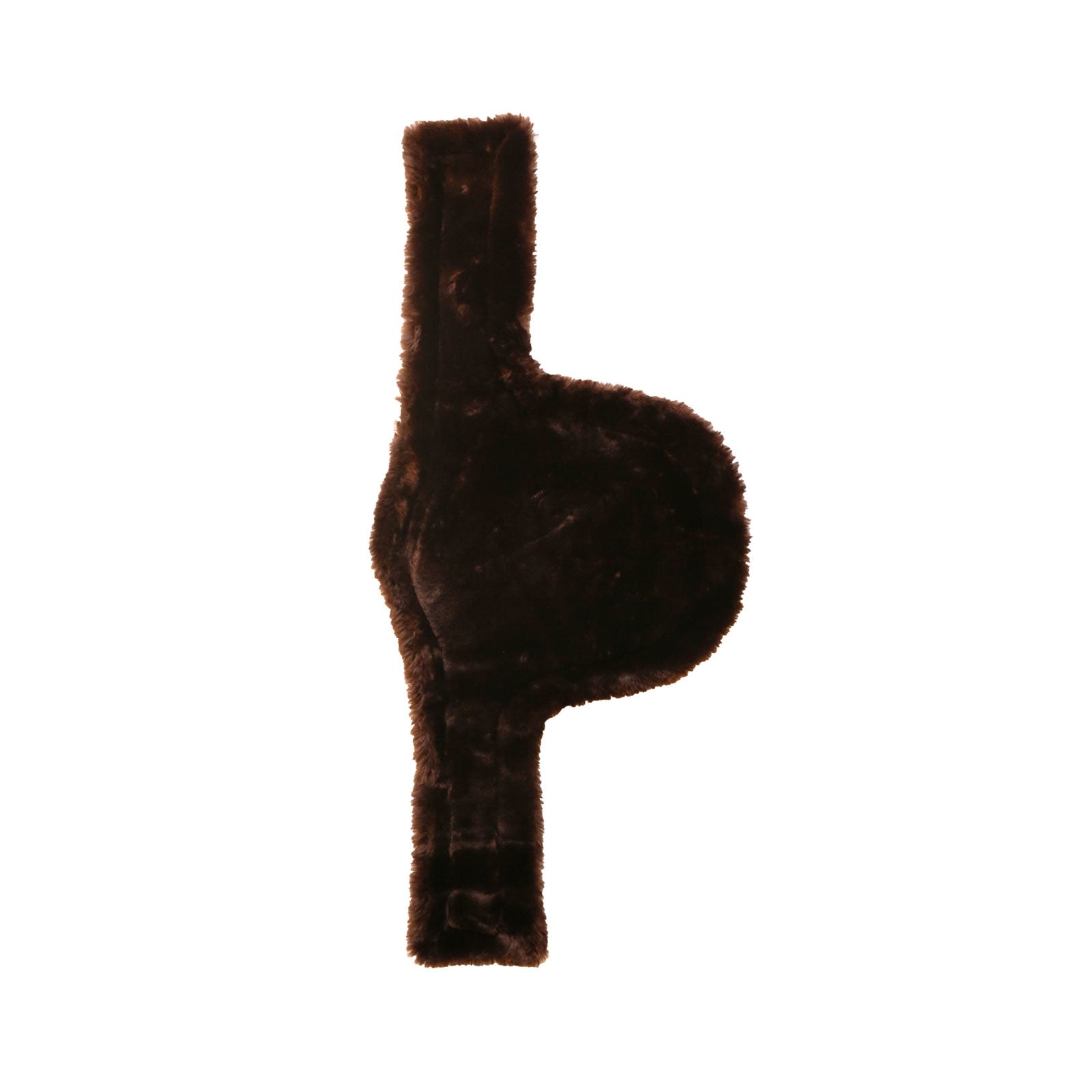 Alt Tag fallback text for IMAGE