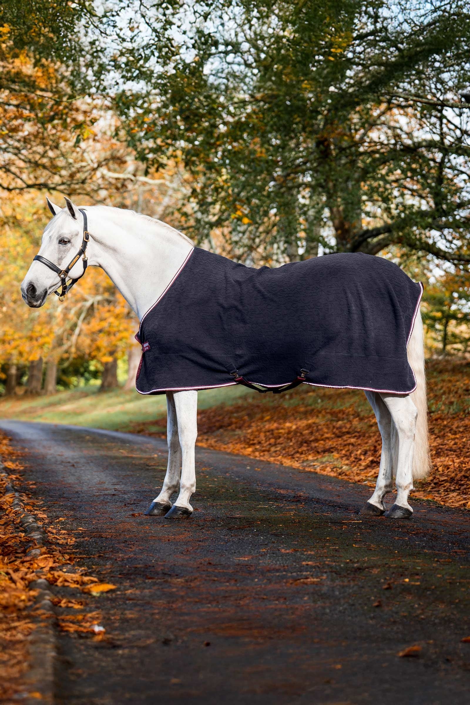 Horseware Embossed Jersey Cooler Horse Rugs