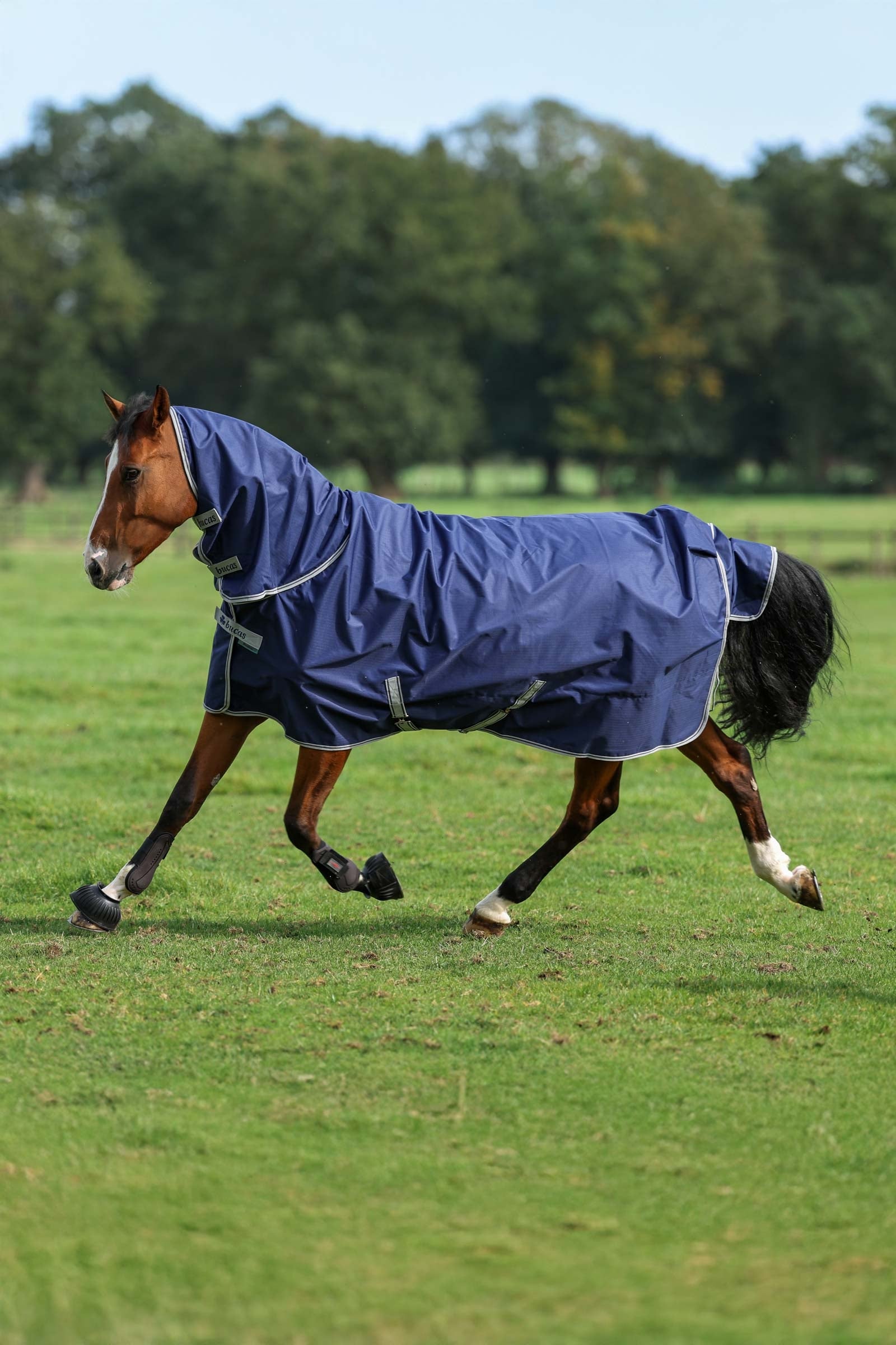 Bucas Freedom + Neck 100 g Rug Set Horse Rugs