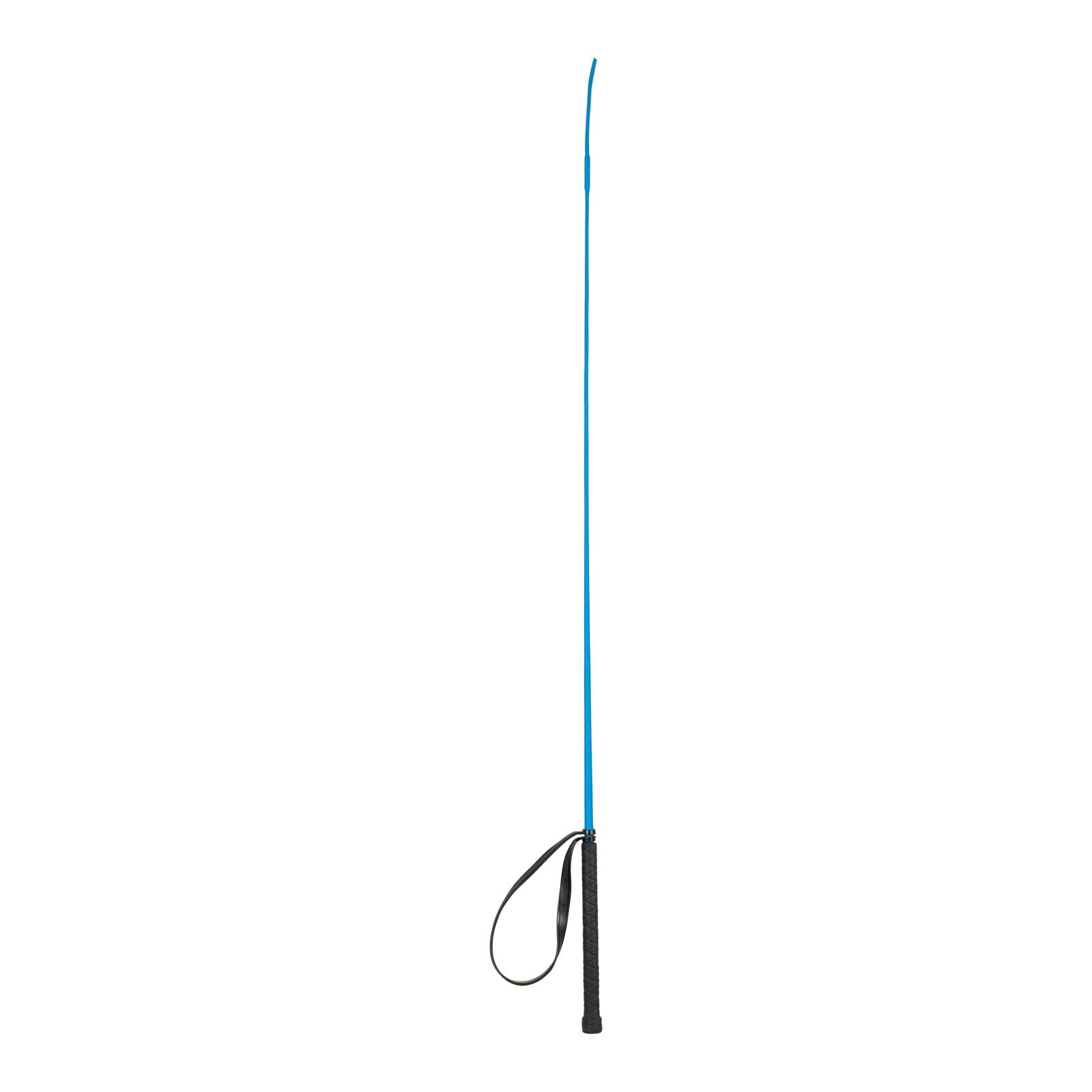 Alt Tag fallback text for IMAGE
