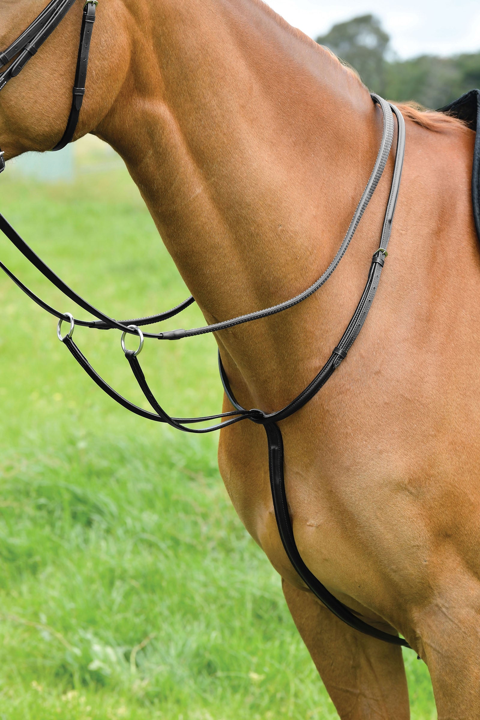 Attache Martingale Horze Wimbledon Noir Pour Cheval - Équitation, Course