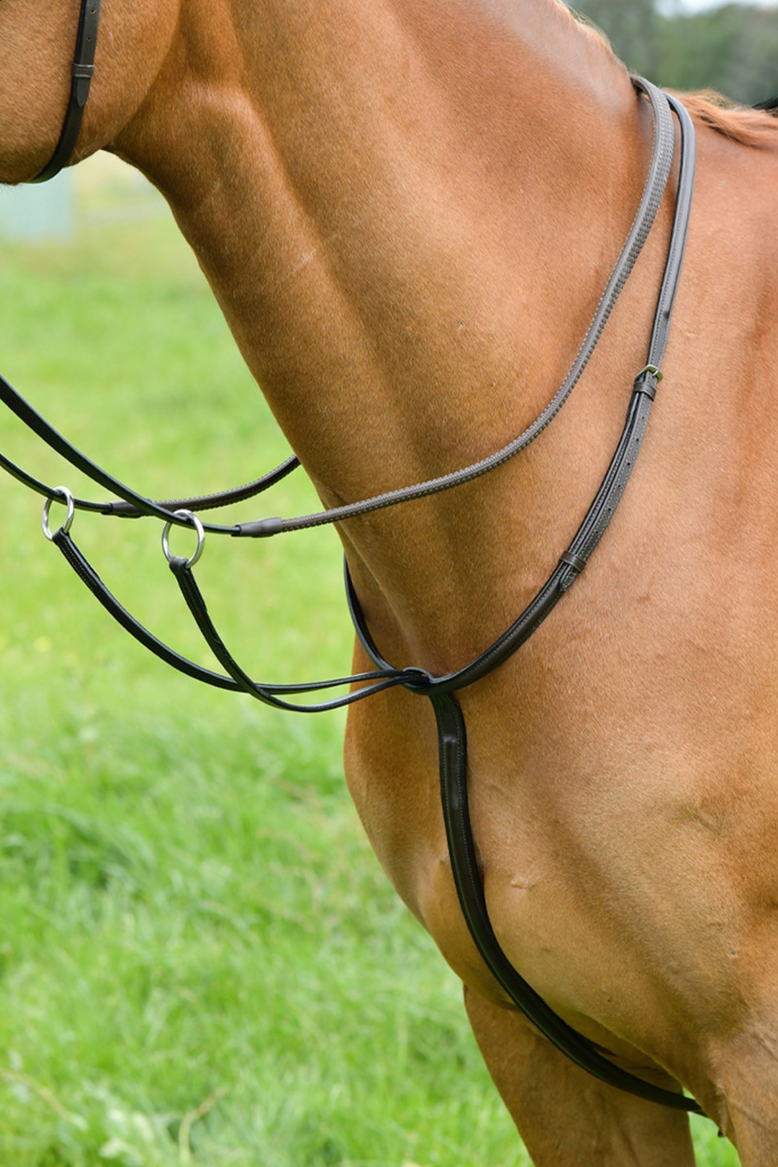 Kincade Classic Plain Raised Running Martingale Bridles & Reins