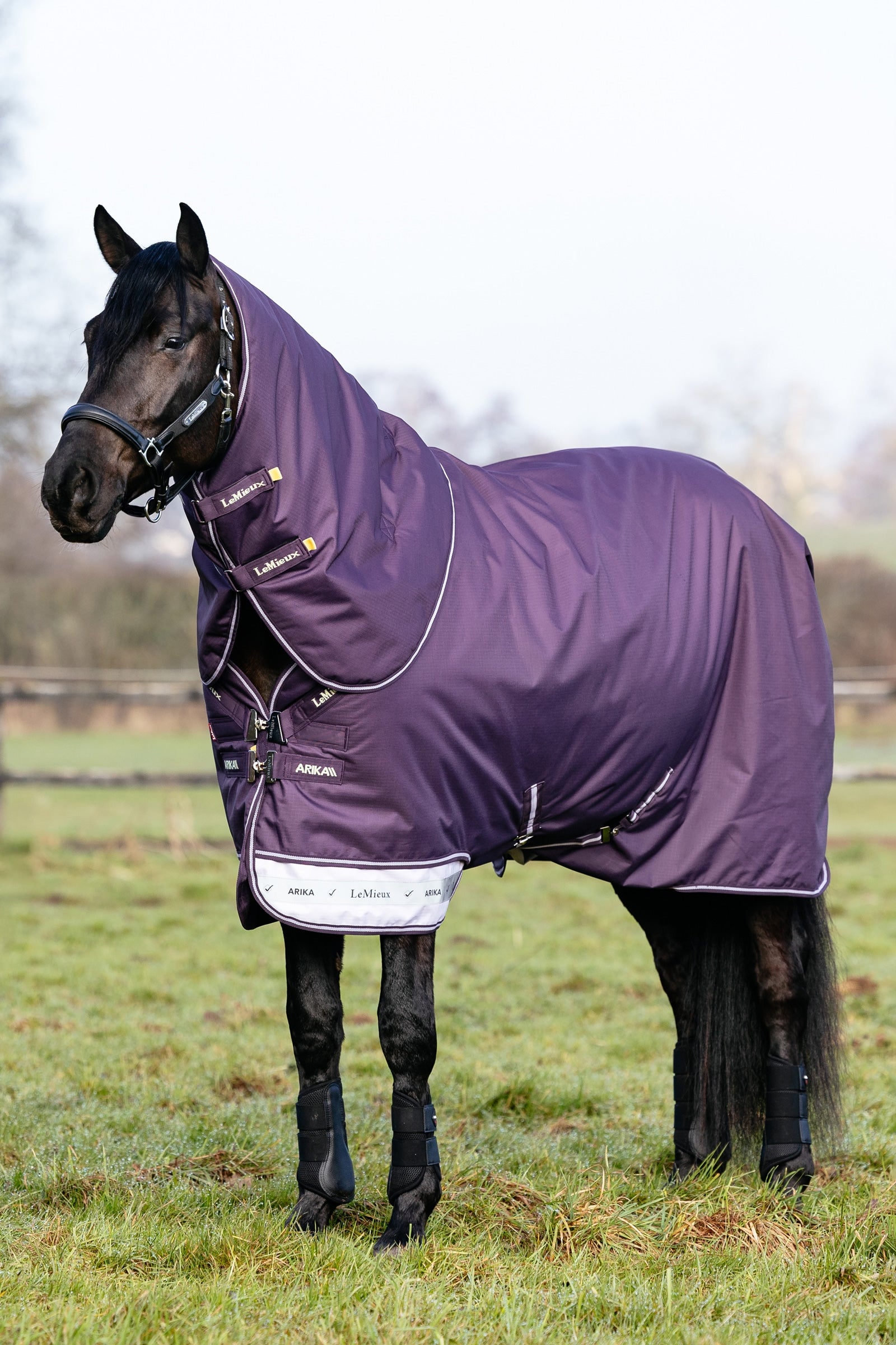LeMieux Arika Ripstop 200g Turnout Rug