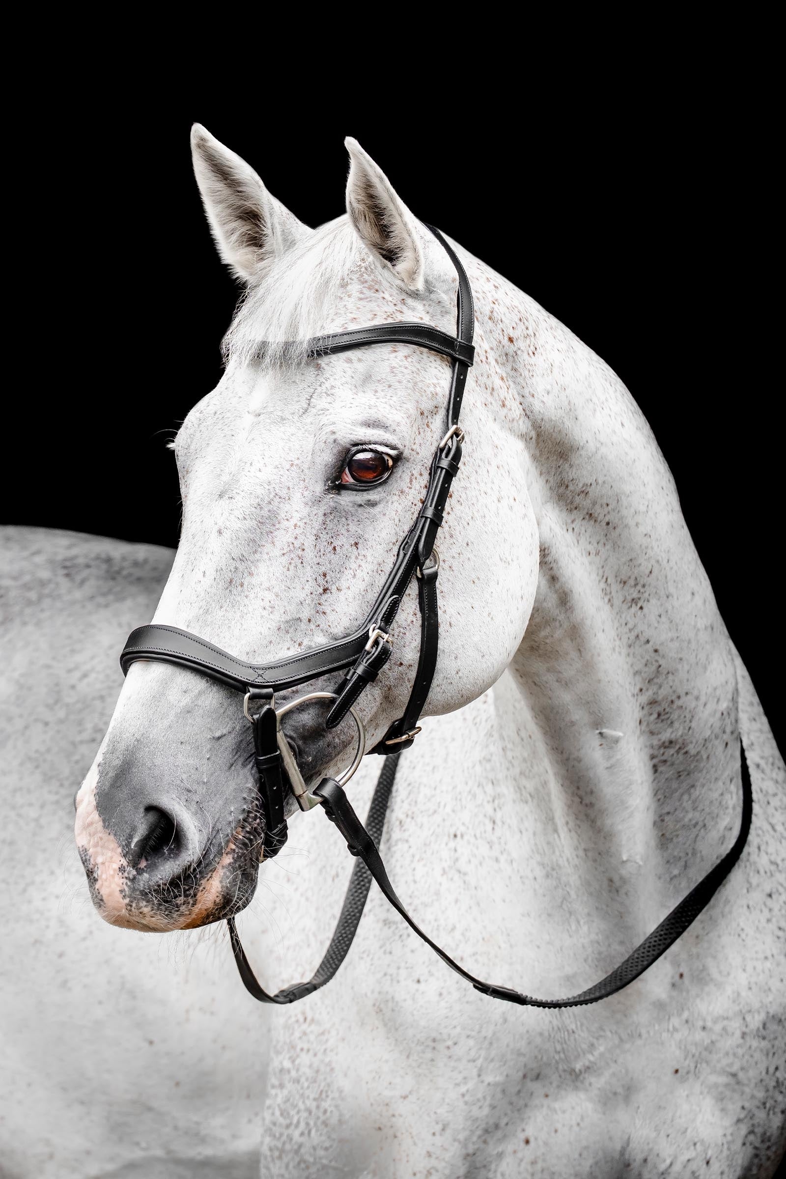 Bride Équitation Rambo Micklem Deluxe Competition - Confort