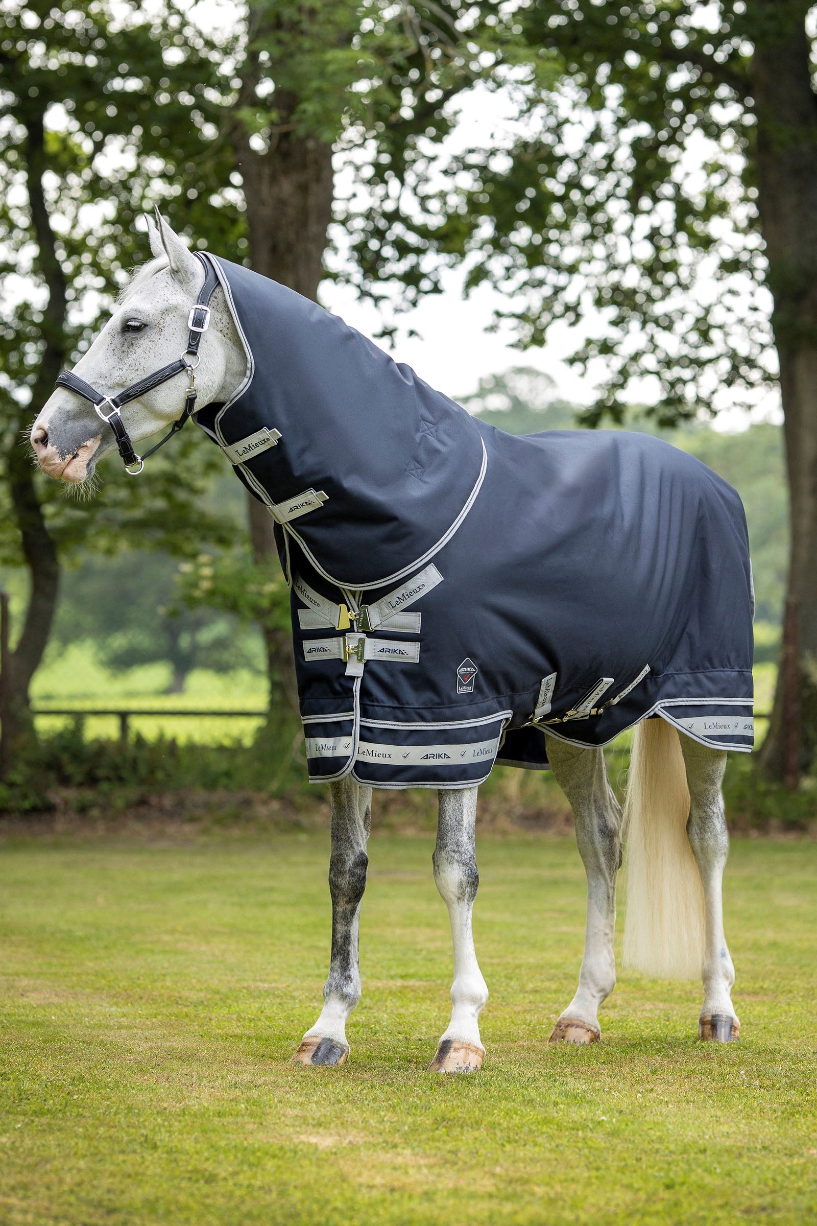 LeMieux Arika Featherweight Rug 0g Horse Rugs