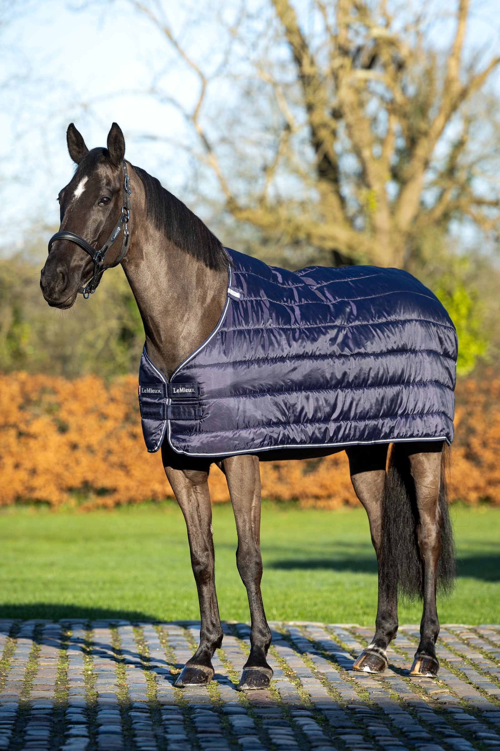 LeMieux Rug Liner, 100g Horse Rugs