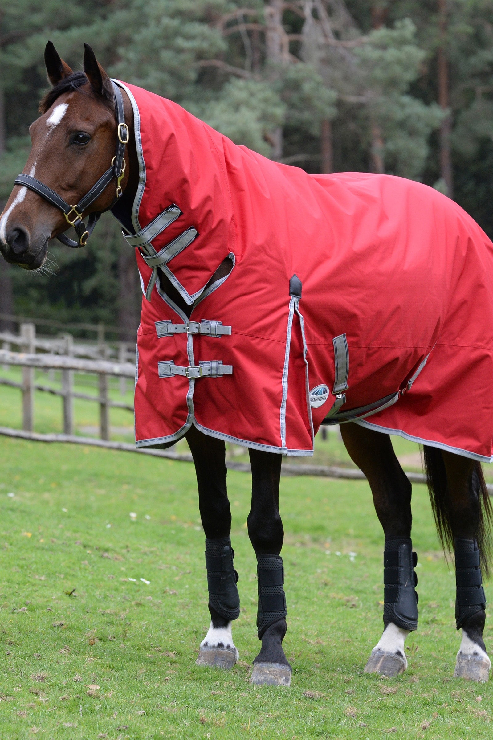 Weatherbeeta Comfitec Classic Combo Neck Lite Plus Horse Rugs