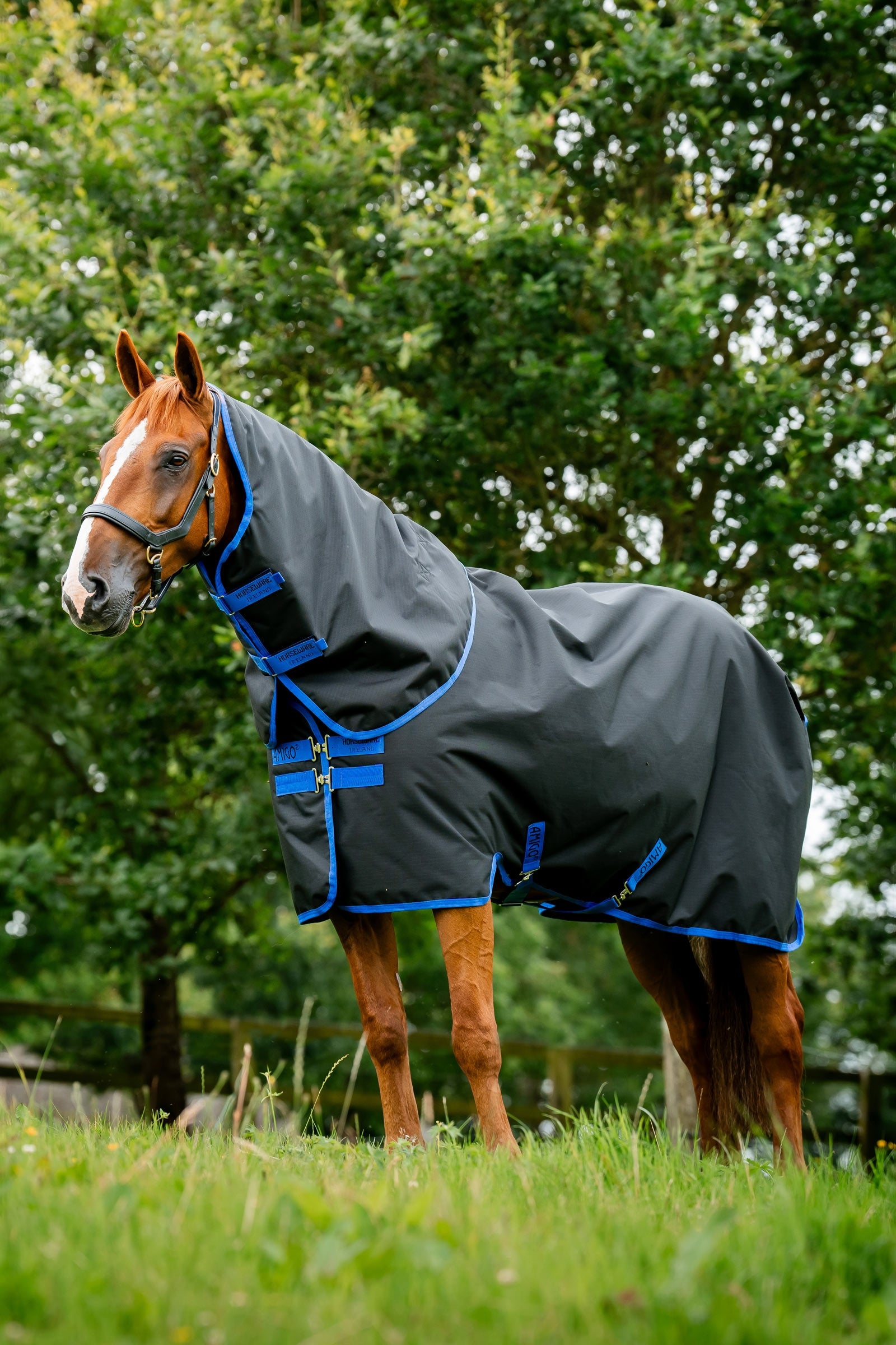 Horseware Amigo Ripstop 900D Plus Turnout Rug, 0 g Horse Rugs