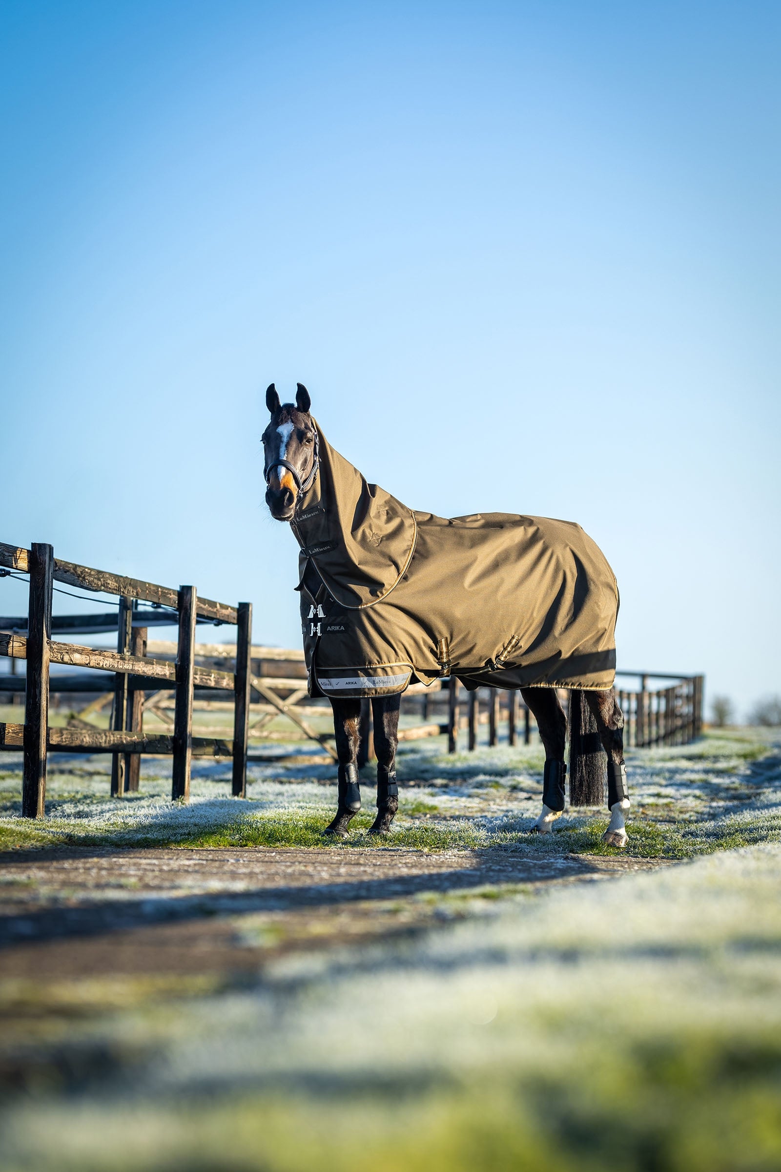 LeMieux Arika Ripstop Turnout Rug 50g Horse Rugs