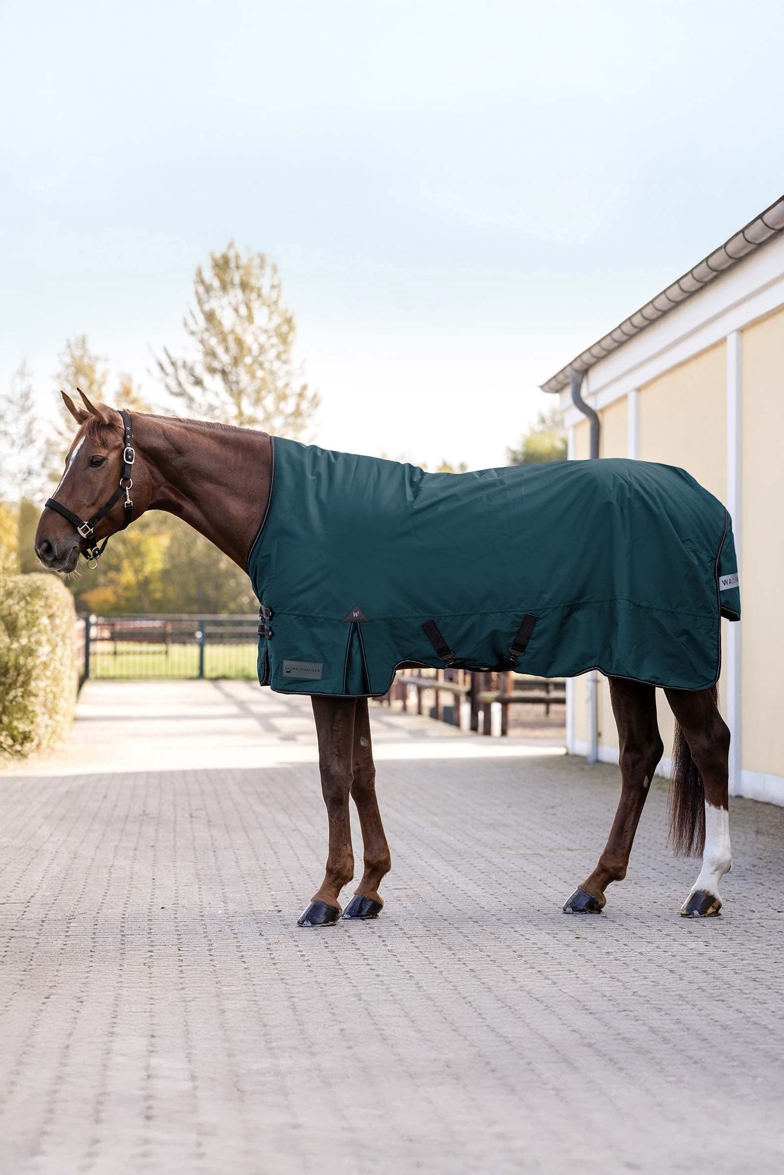 Waldhausen Arctic Outdoor Rug With High Neck, 100 g Horse Rugs
