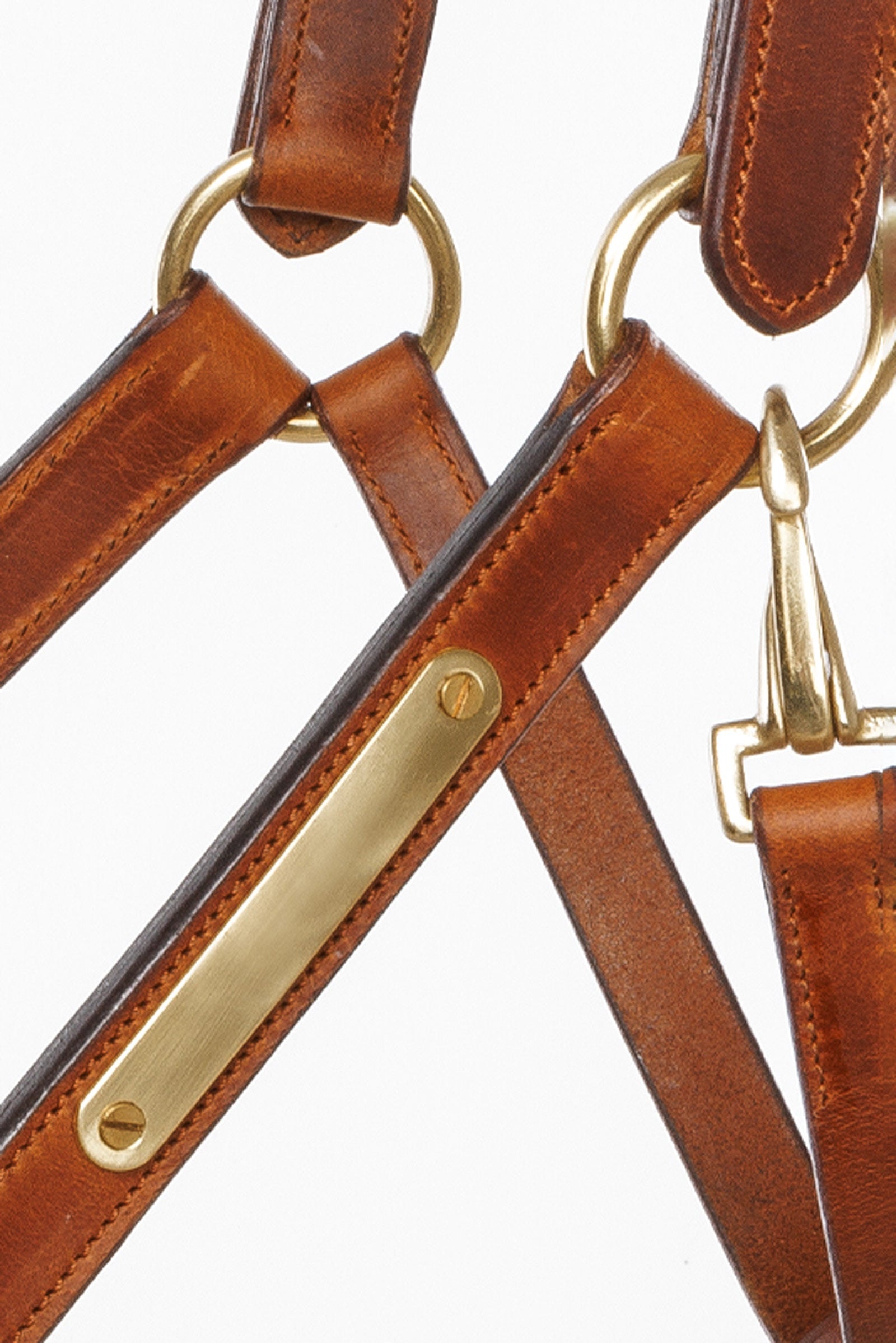 Kavalkade Leather halter Cinta Halters & Leads