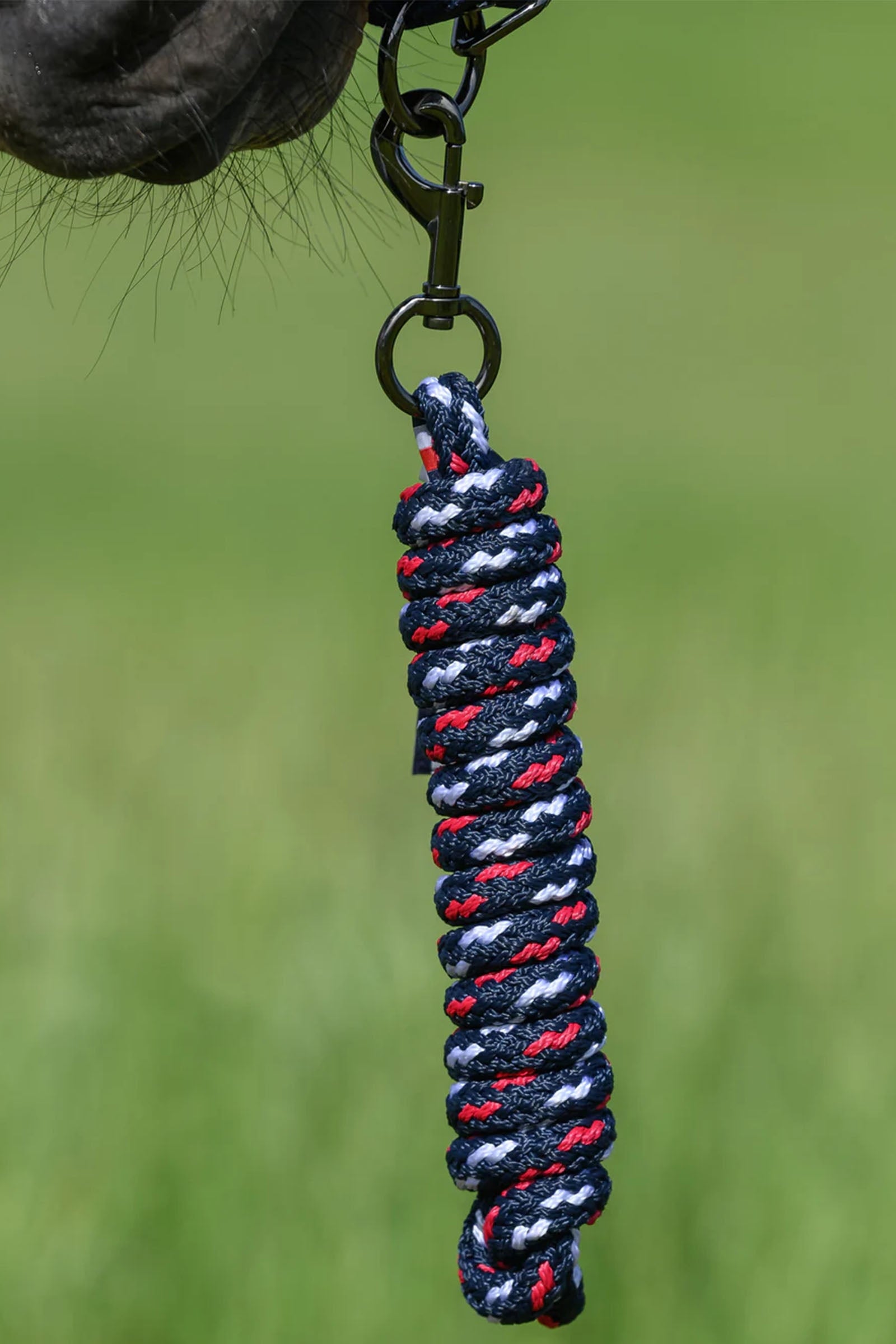 Tommy Hilfiger Equestrian Yale Set Halter and Rope Halters & Leads