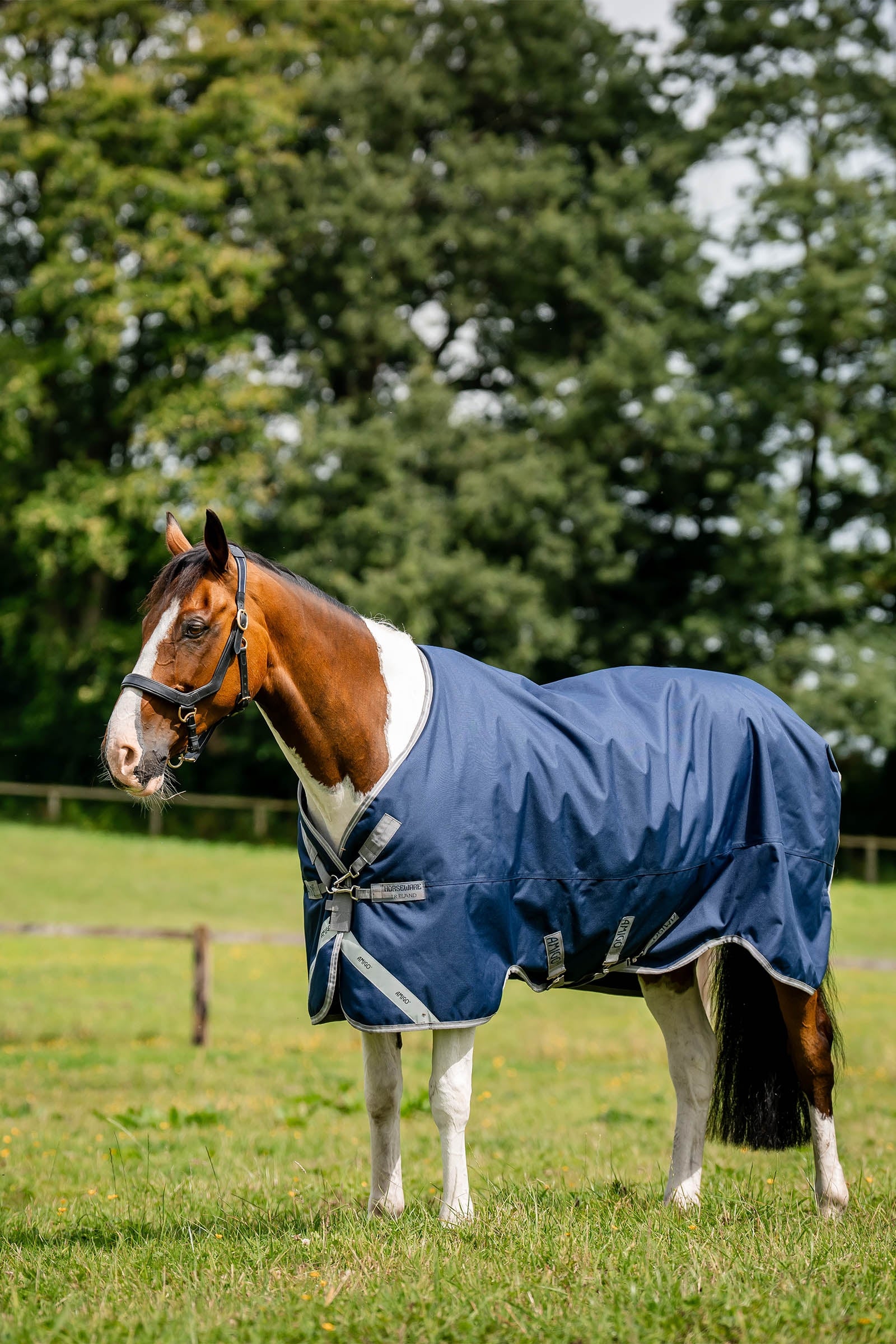 Horseware Amigo 1200D Turnout Rug, 50 g Horse Rugs