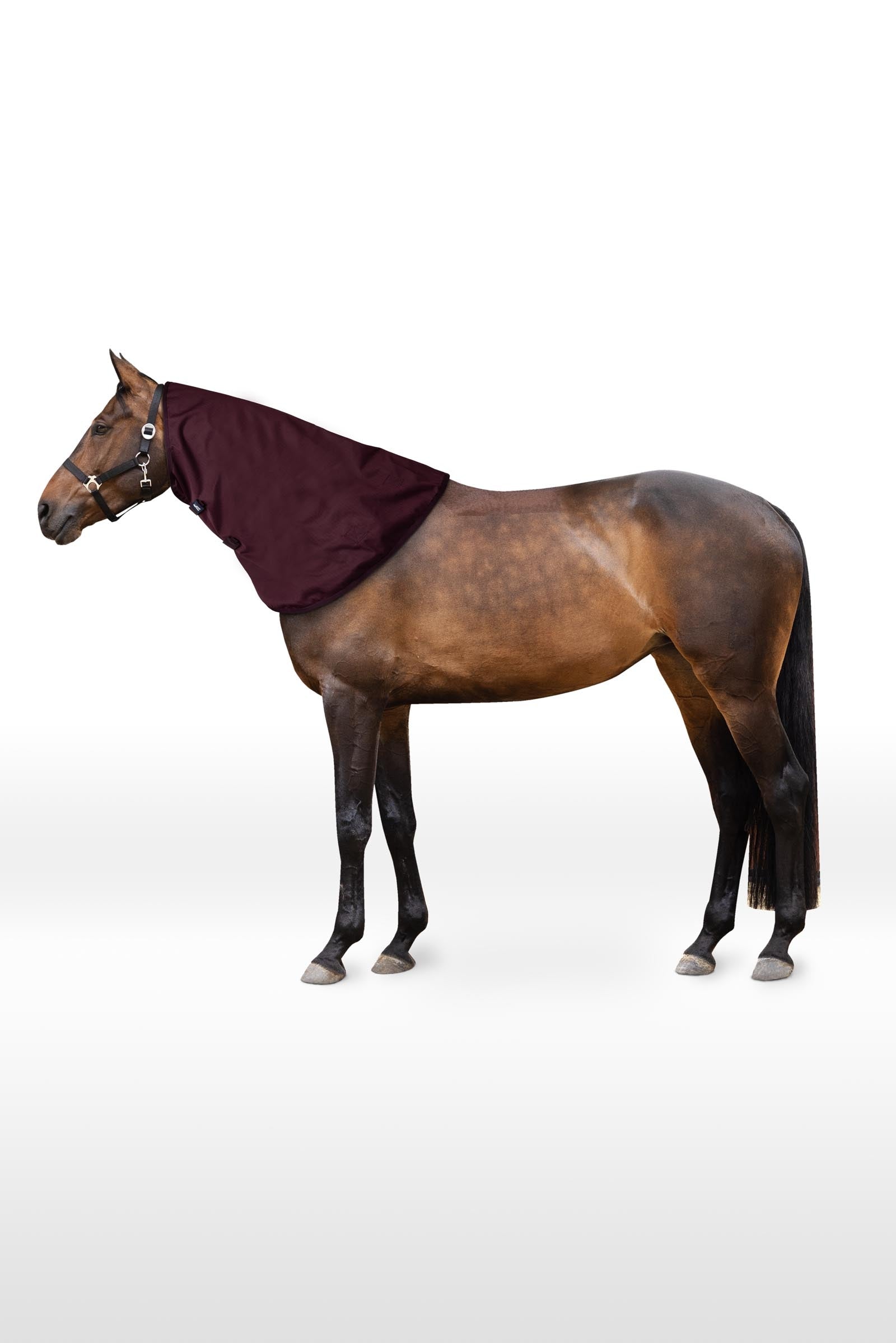 Horze Newbridge Neck Piece, 0 g Horse Rugs