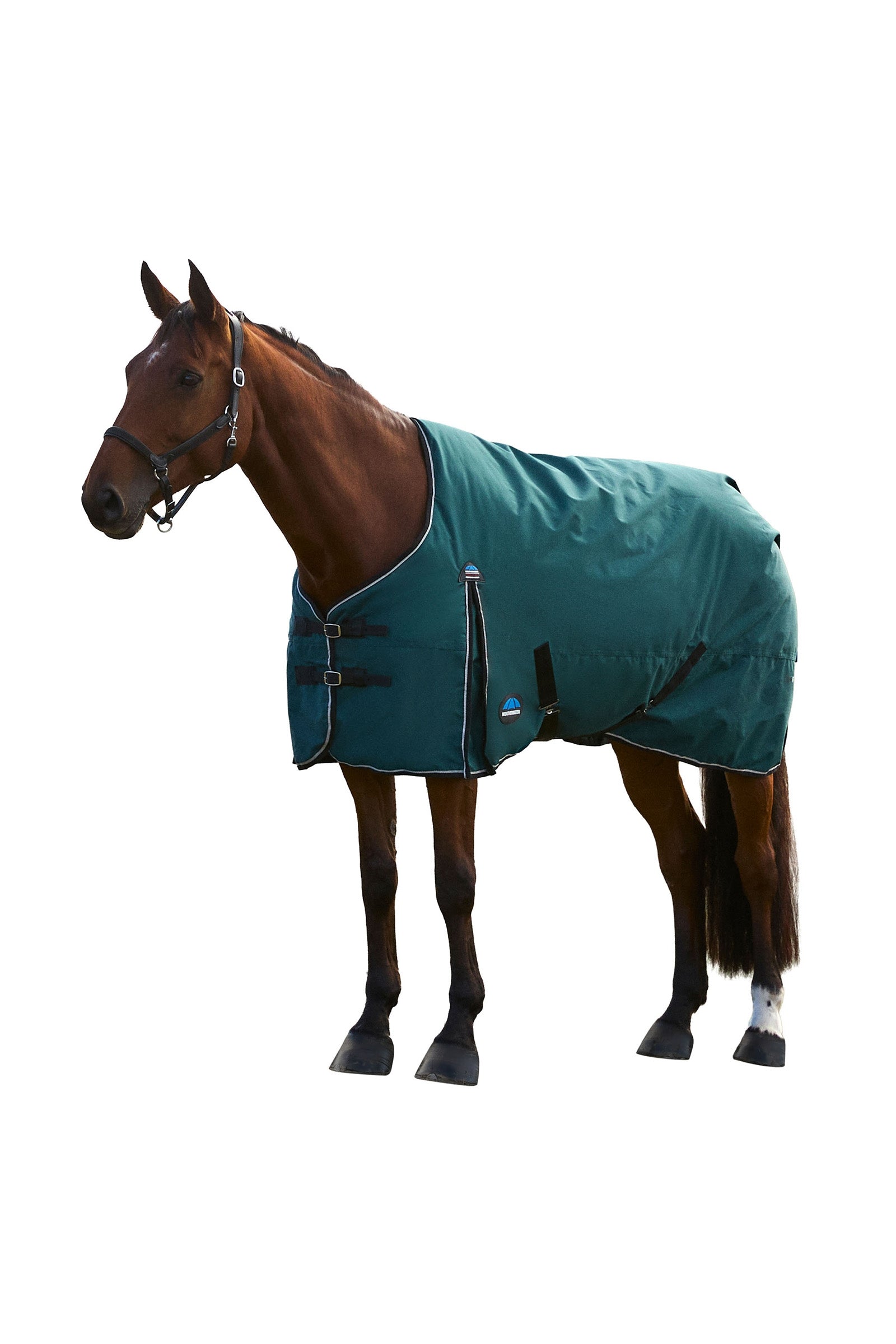 Weatherbeeta ComFiTec Classic Turnout Standard Neck 220G Horse Rugs