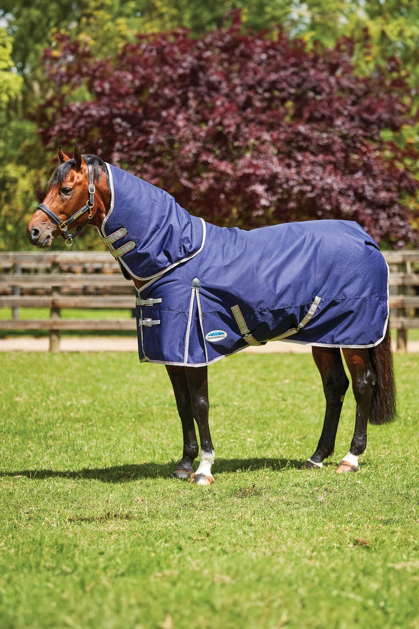 Weatherbeeta Comfitec Essential Detach-a-Neck Medium Turnout Rug, 220g Horse Rugs
