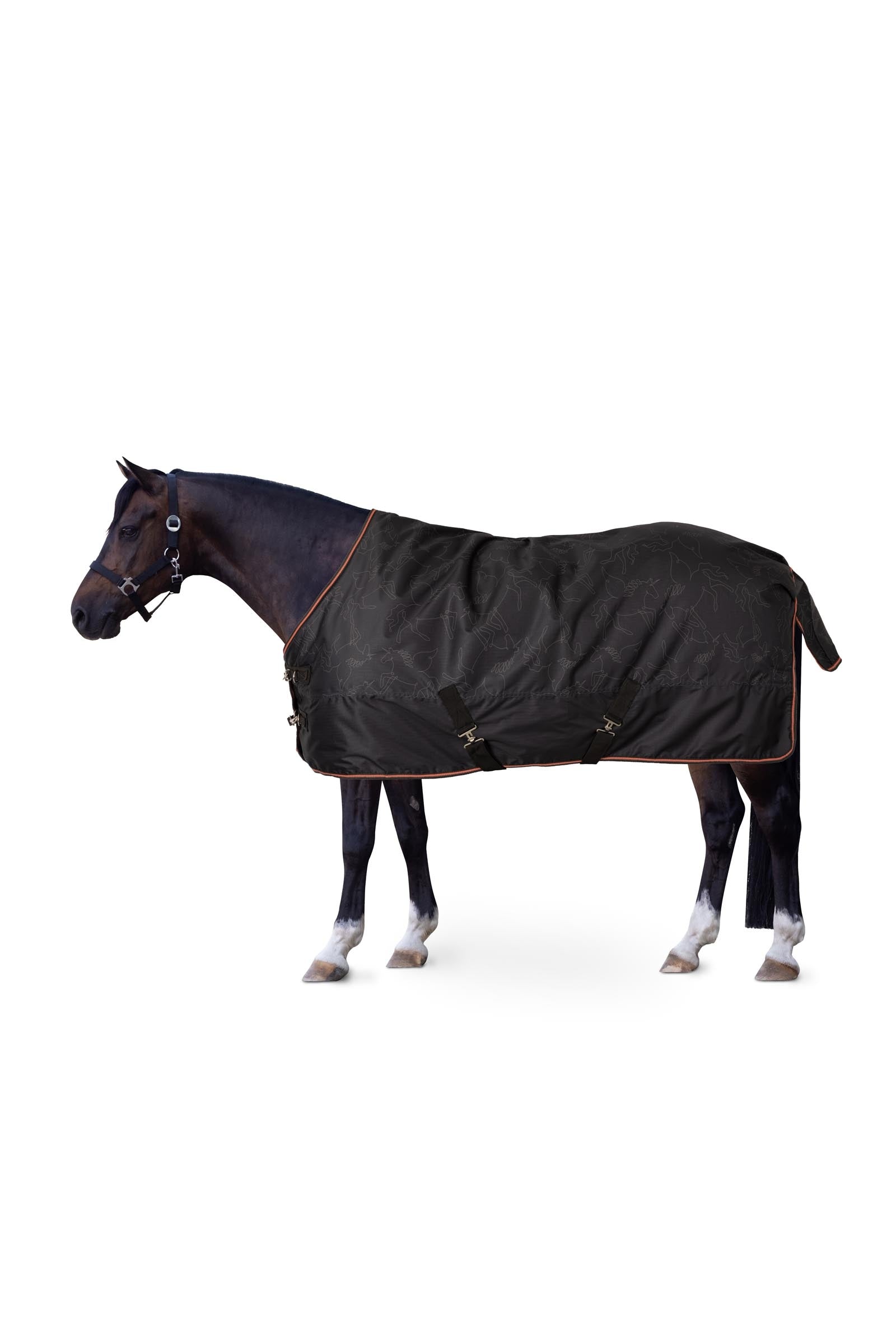 Horze Pegasus Pony turnout 200gsm Horse Rugs