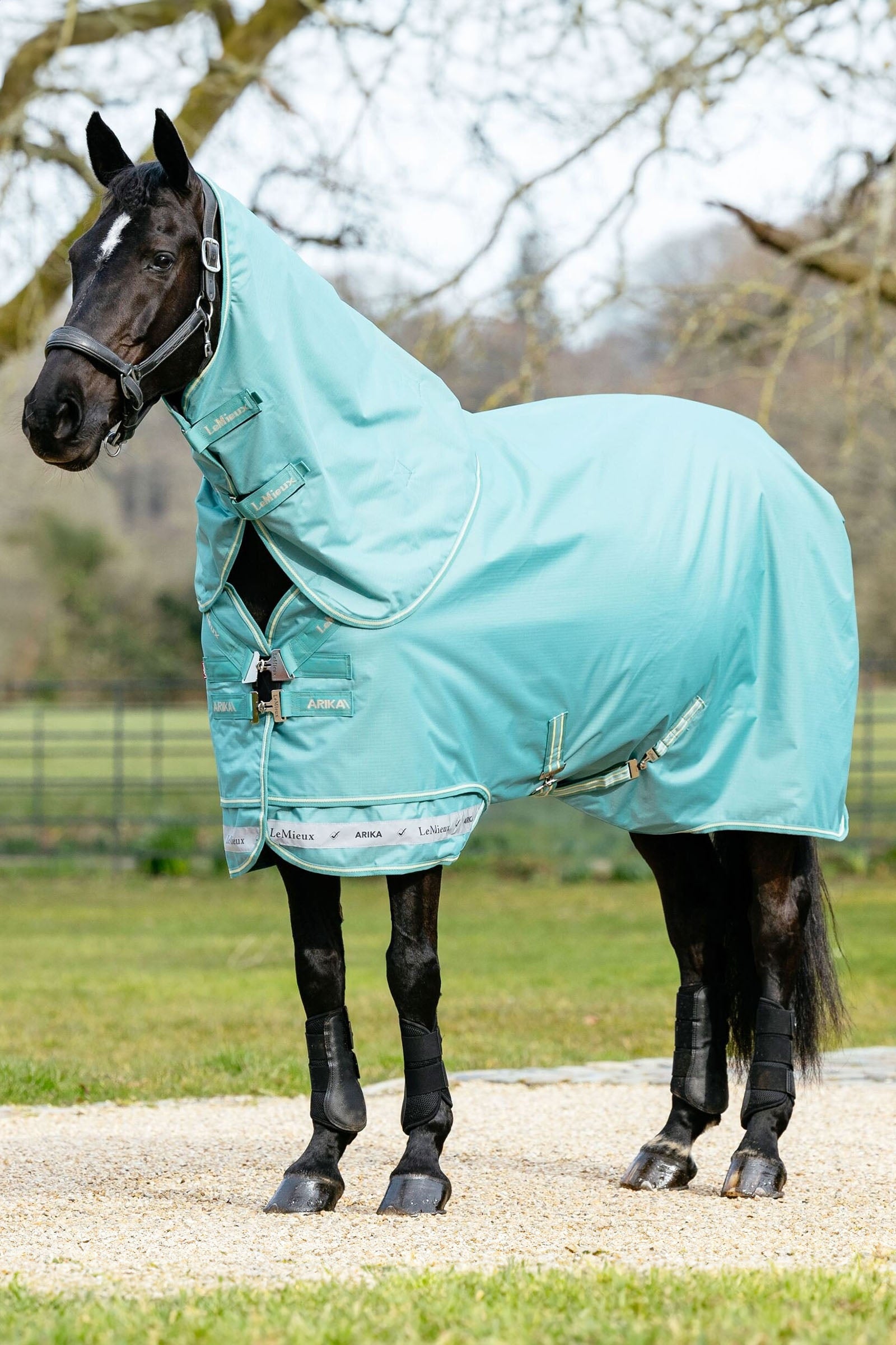 LeMieux Arika 600D Turnout Rug With Detachable Neck, 50g Horse Rugs
