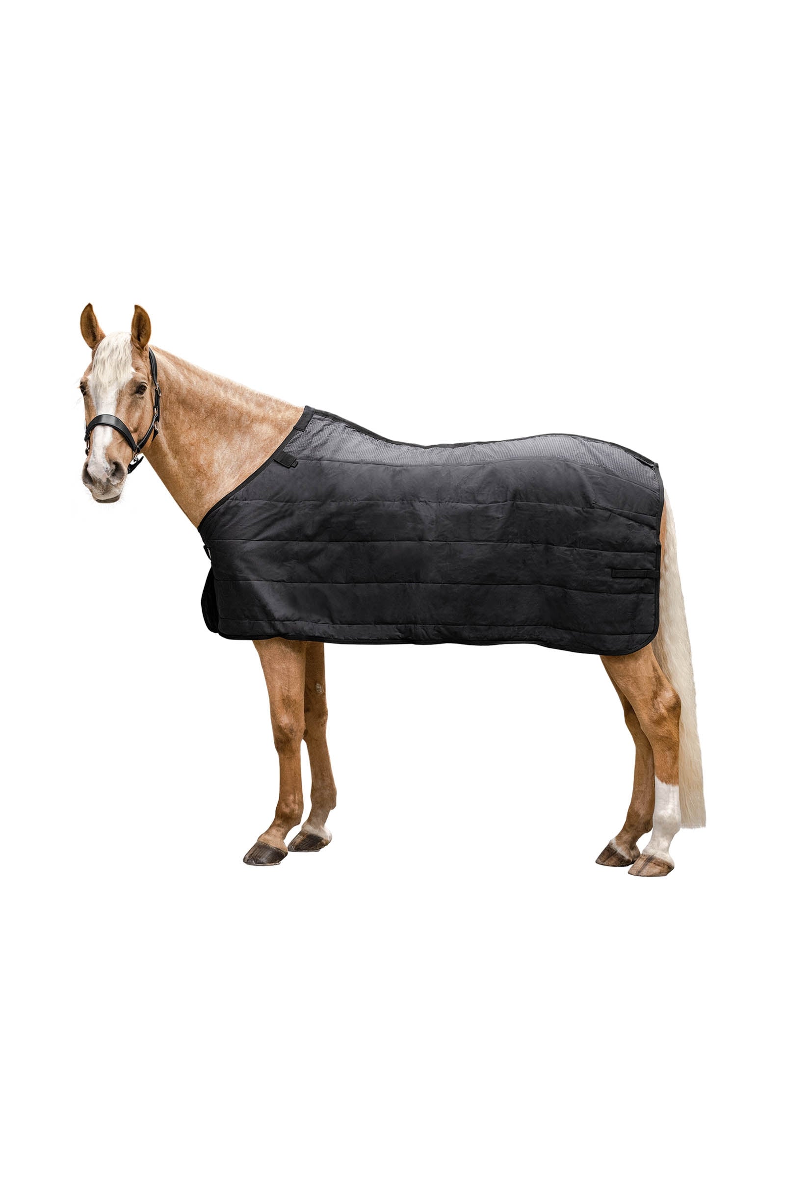 Waldhausen Thermo Underrug 200 g Horse Rugs