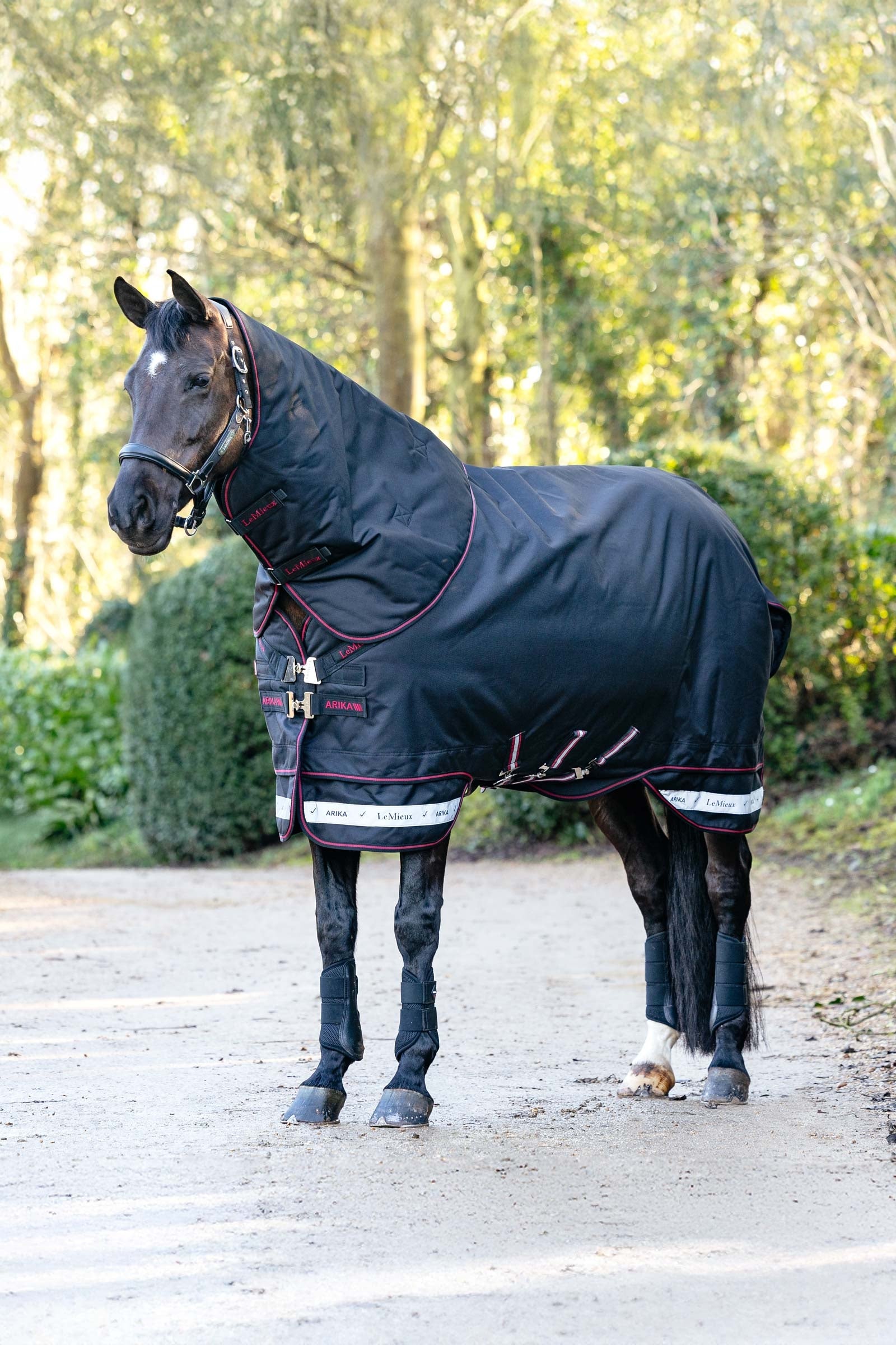 LeMieux Arika Storm-Tek Turnout Rug With Detachable Neck, 100 g Horse Rugs