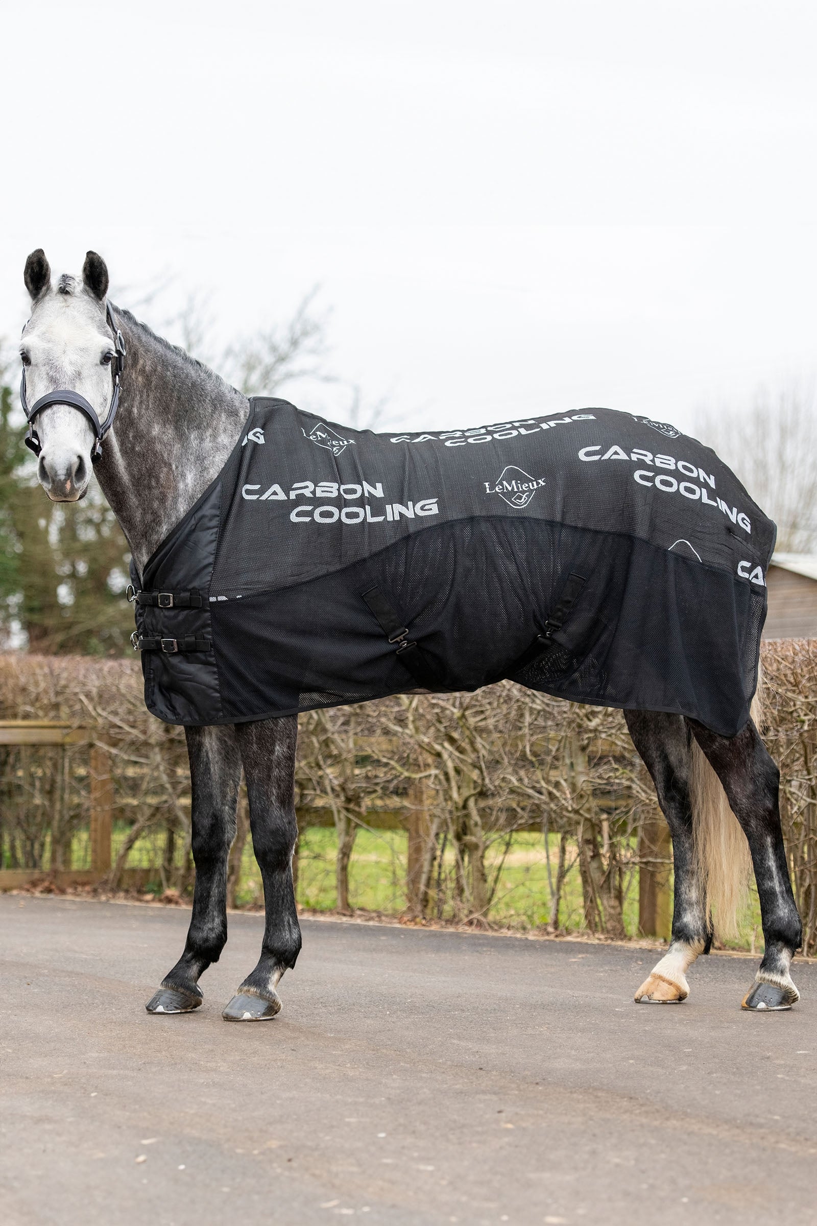 LeMieux Carbon Cooler Rug Horse Rugs