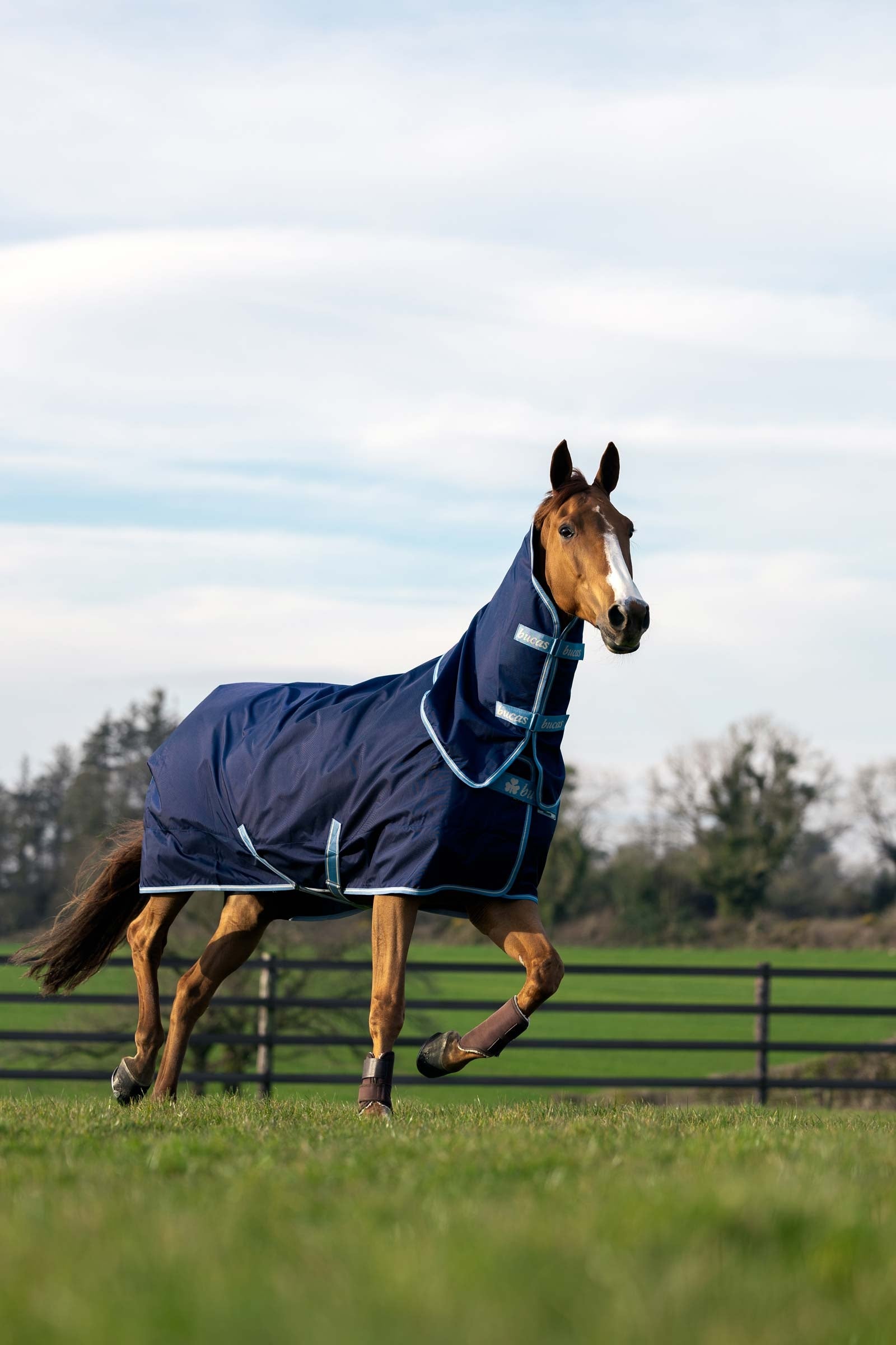 Bucas Atlantic Exclusive Rug & Neck Set Horse Rugs