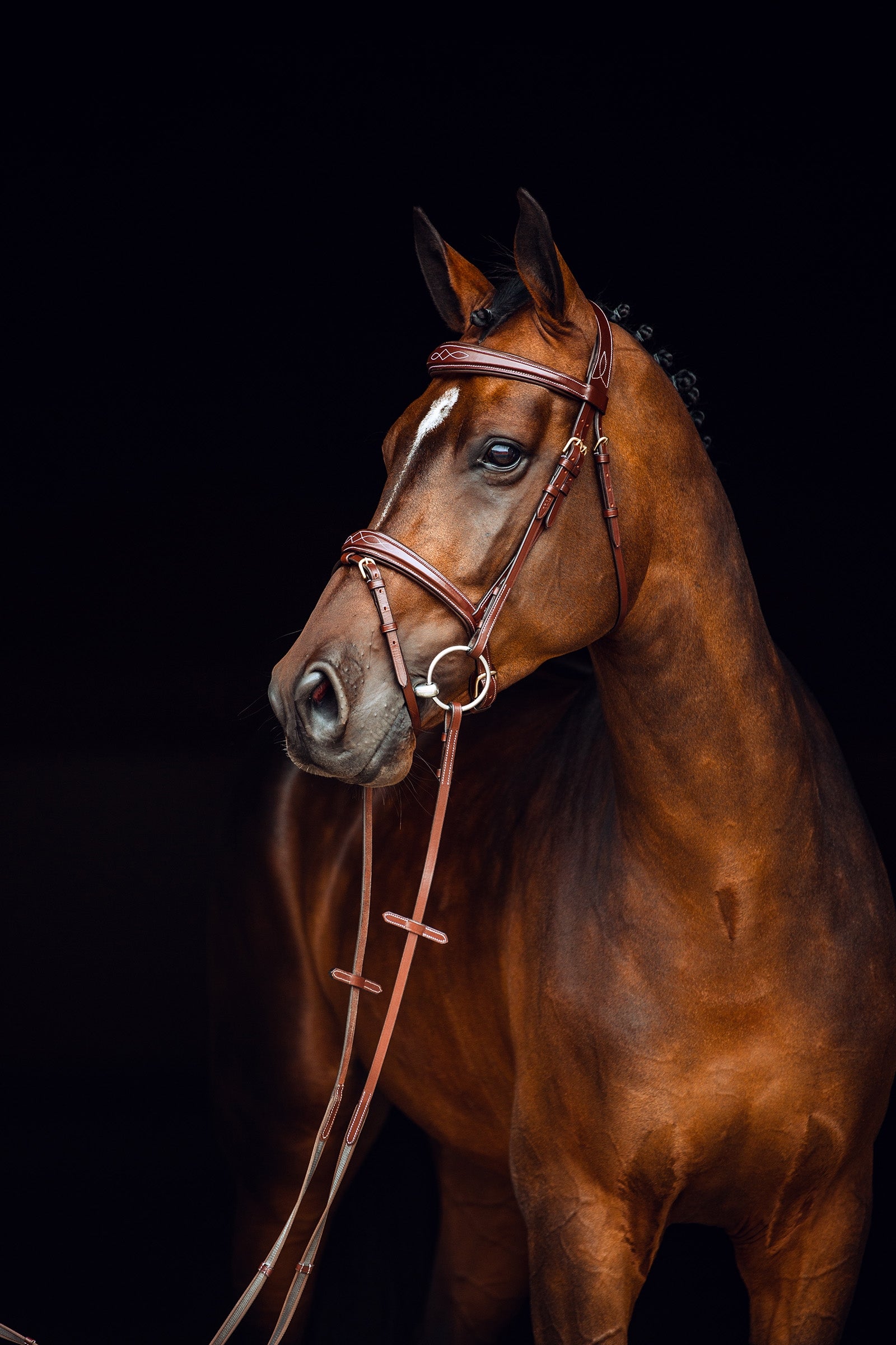Horze Sion Bridle with Reins Bridles & Reins