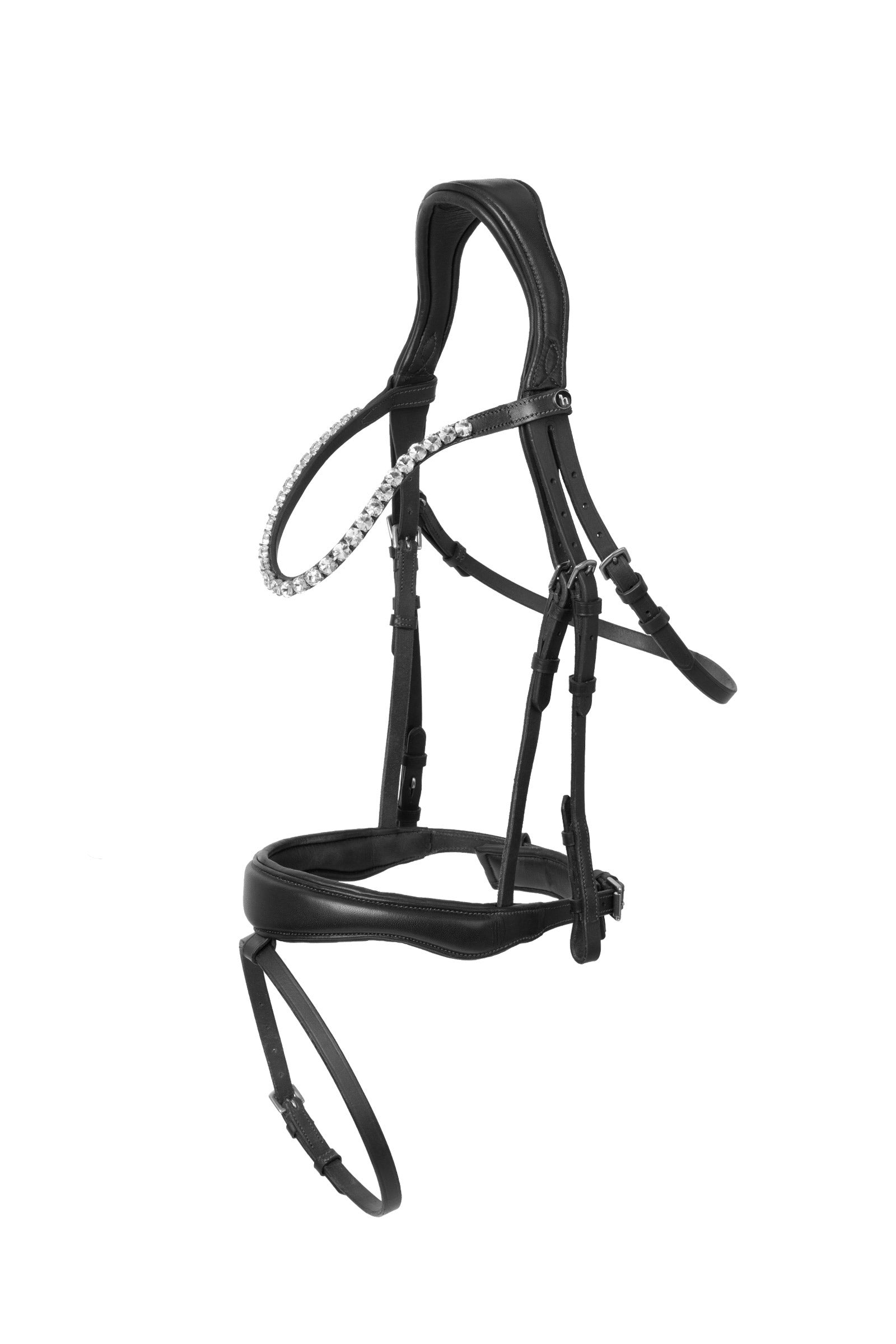 Alt Tag fallback text for IMAGE