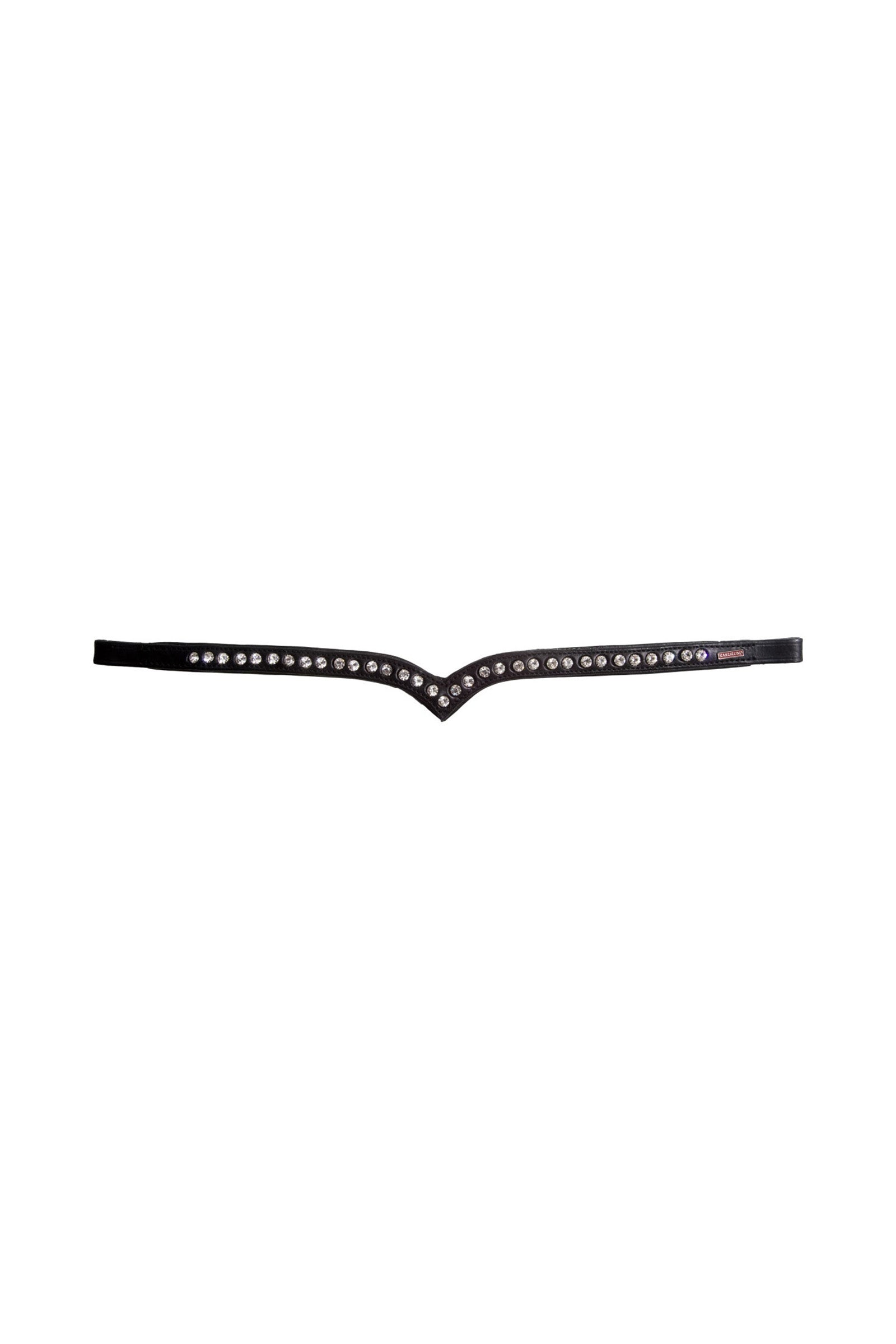 Alt Tag fallback text for IMAGE