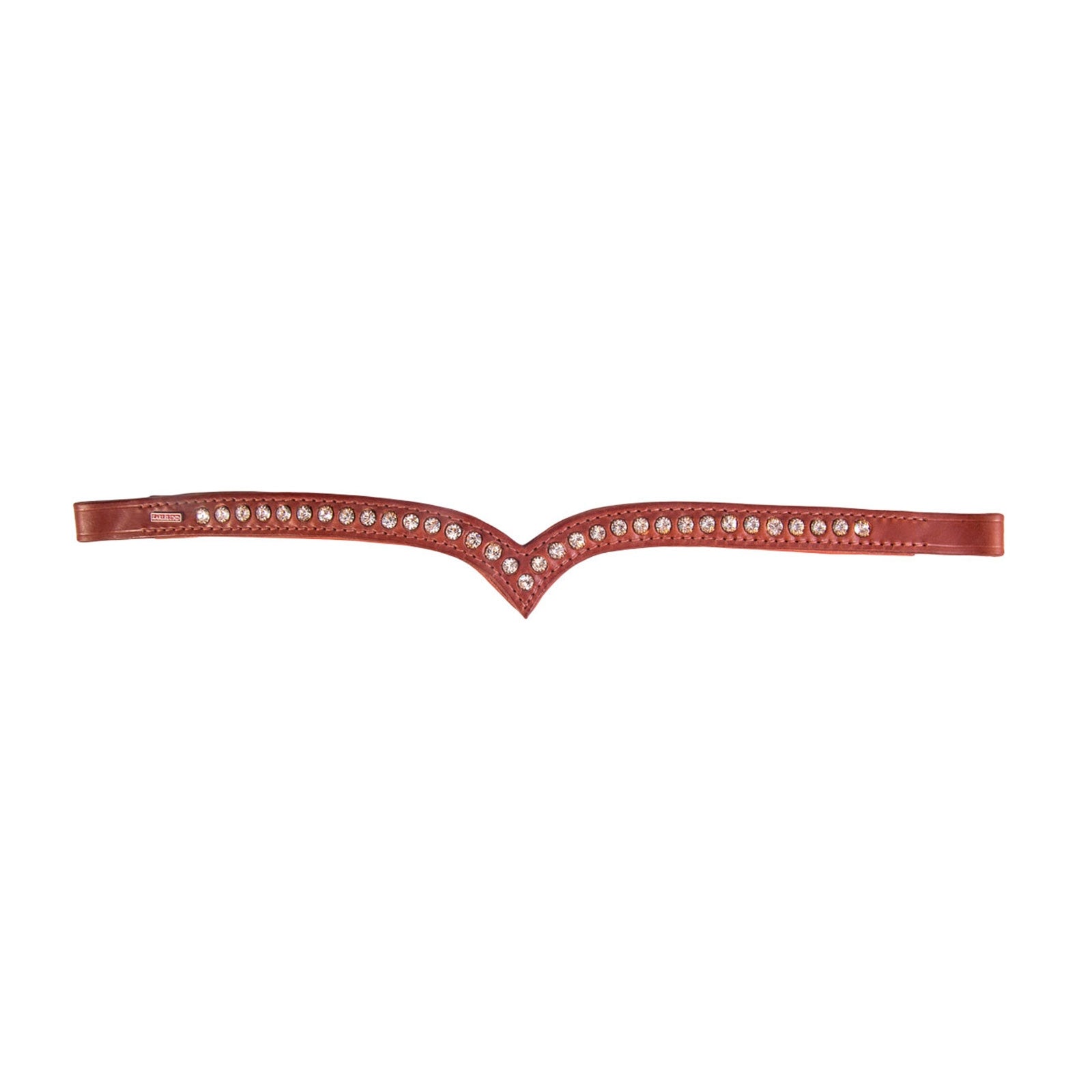 Alt Tag fallback text for IMAGE