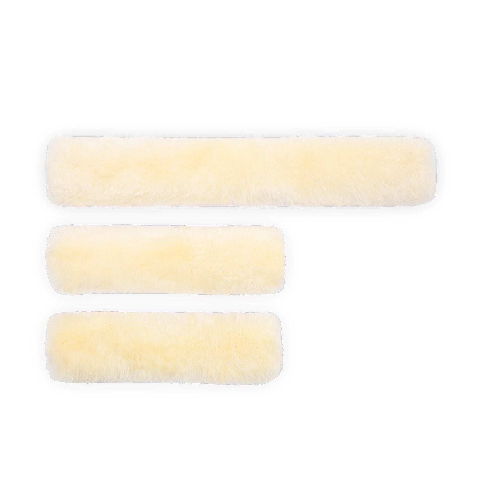 Alt Tag fallback text for IMAGE