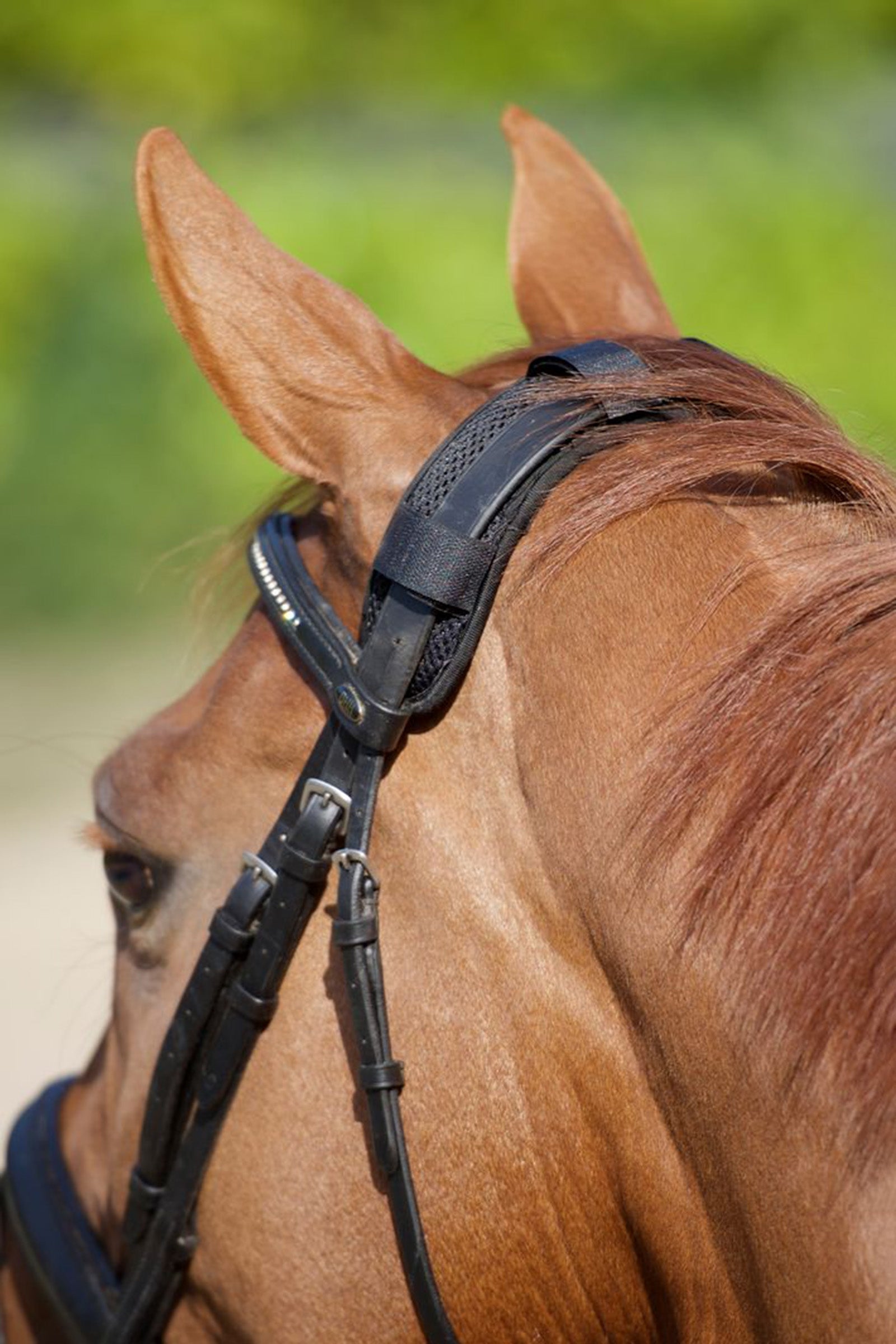 Back on Track Poll Cover Bridles & Reins