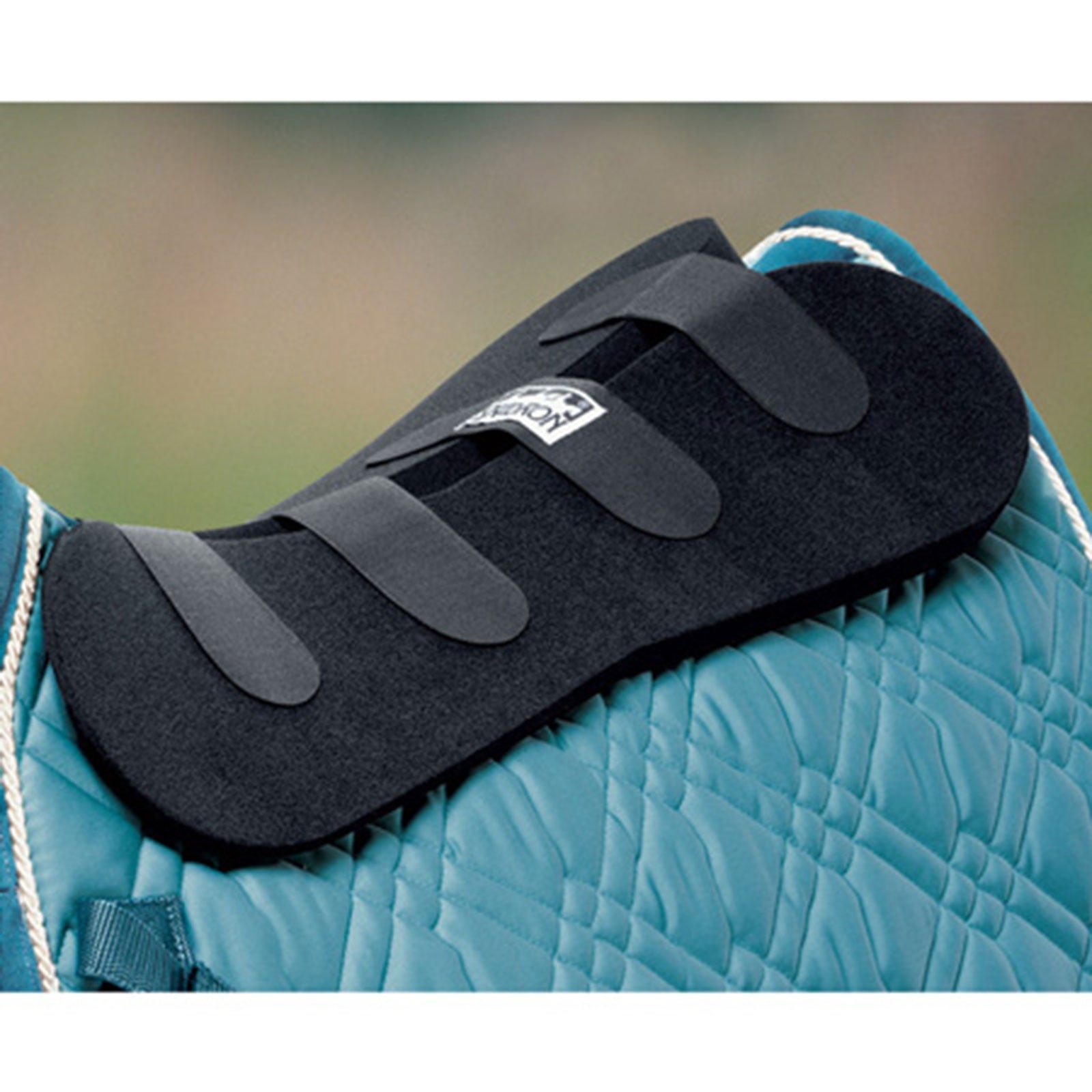 Alt Tag fallback text for IMAGE
