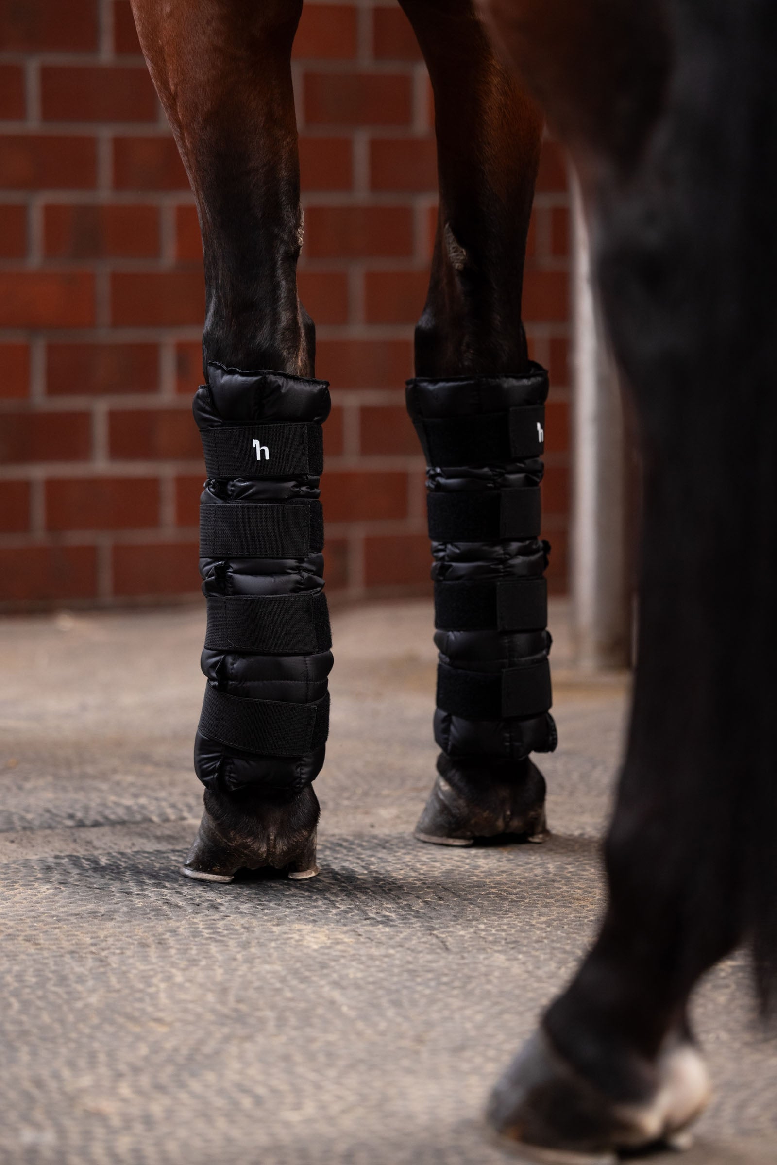 Horze Cooling Wraps (Pair) Leg & Hoof Protection