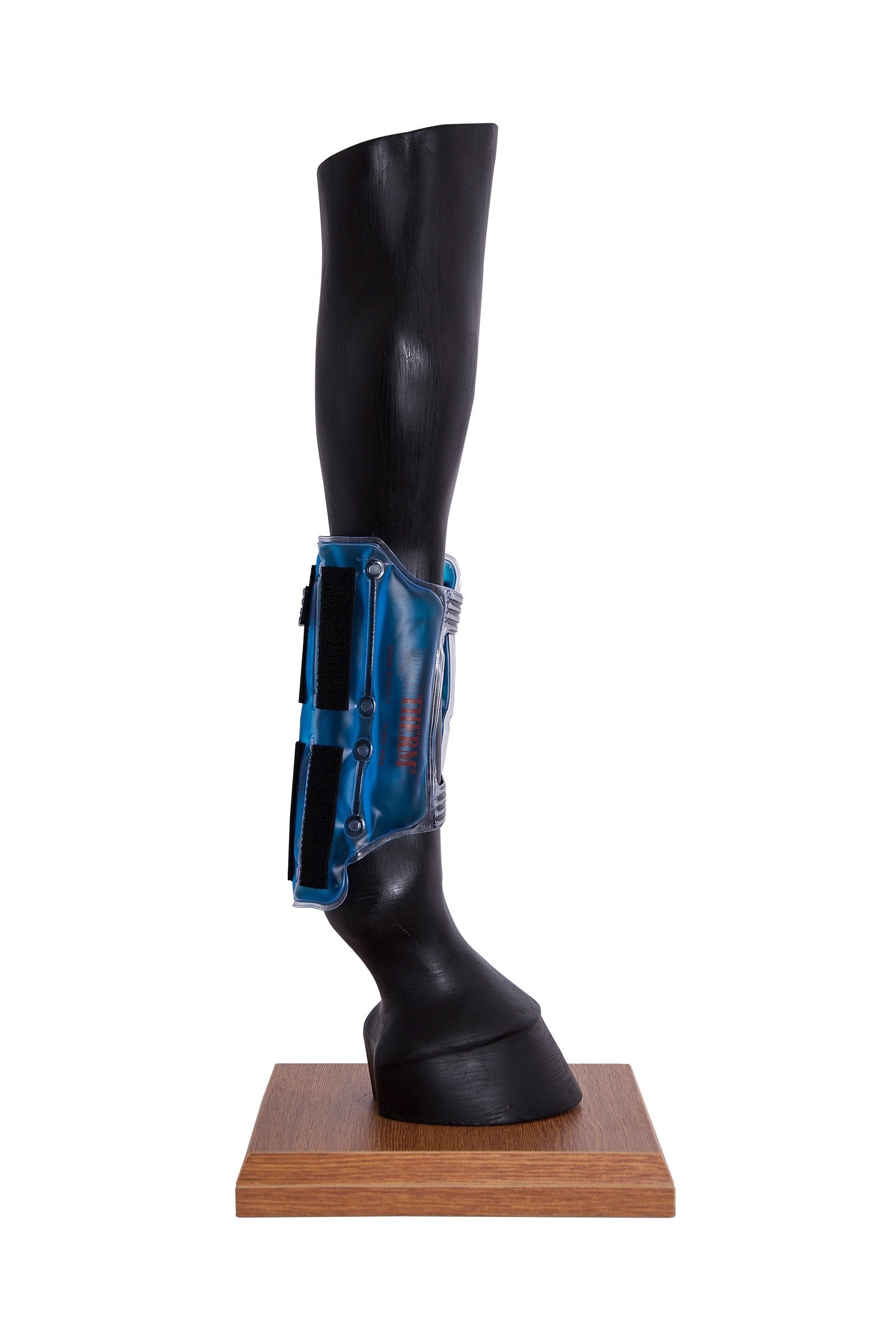 Stassek Equitherm Thermal Wrap for Cooling and Heating without Water Leg & Hoof Protection