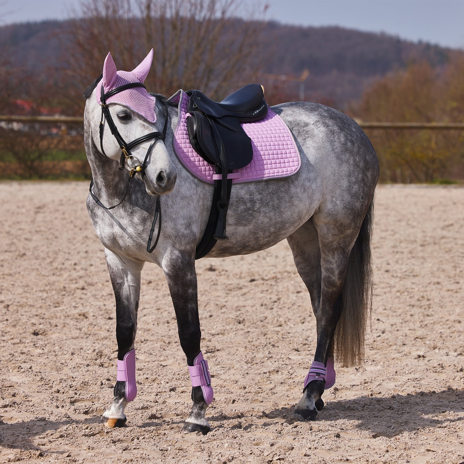 Horze Adepto Tendon Boots Leg & Hoof Protection