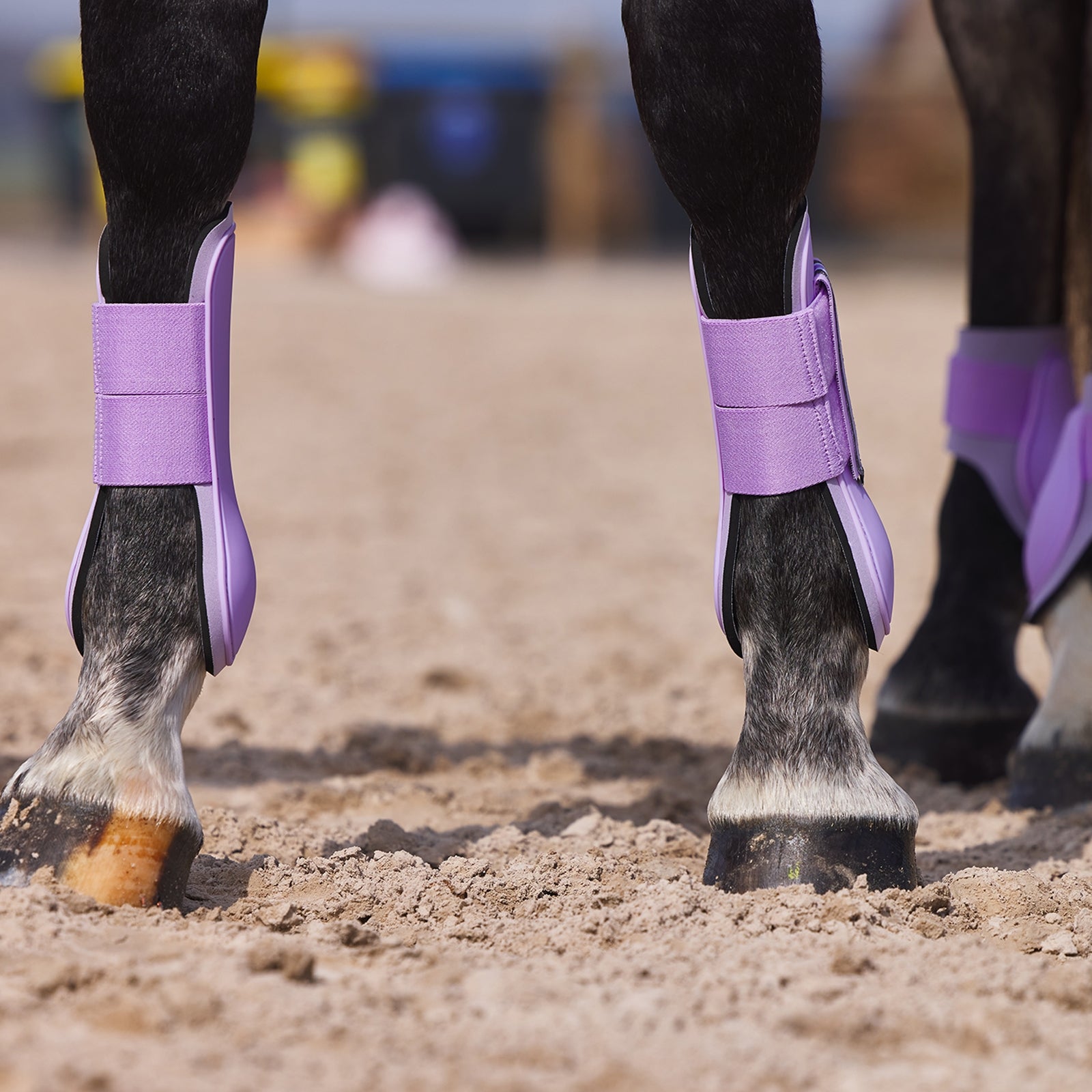 Horze Adepto Tendon Boots Leg & Hoof Protection