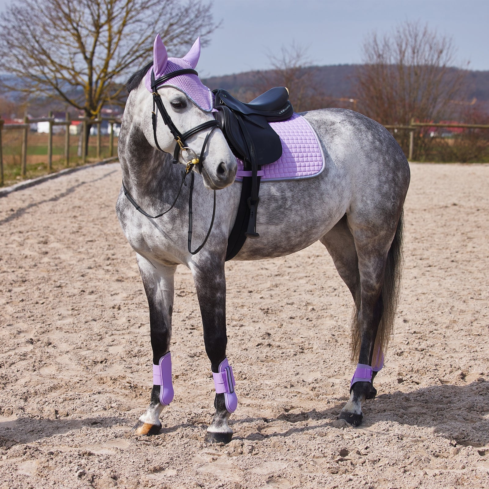 Horze Adepto Tendon Boots Leg & Hoof Protection