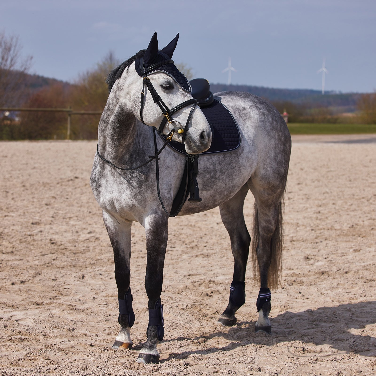 Horze Adepto Tendon Boots Leg & Hoof Protection