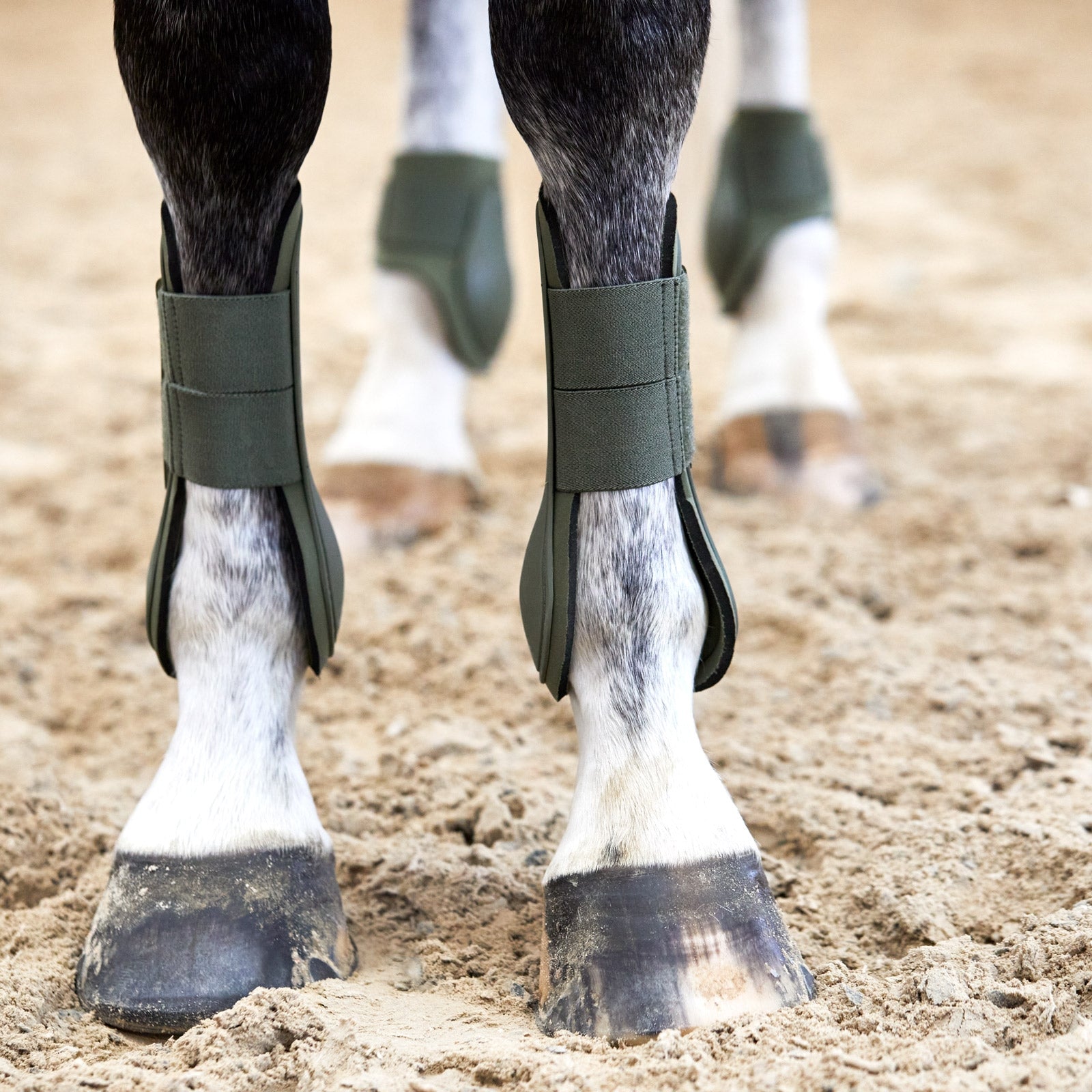 Horze Adepto Tendon Boots Leg & Hoof Protection