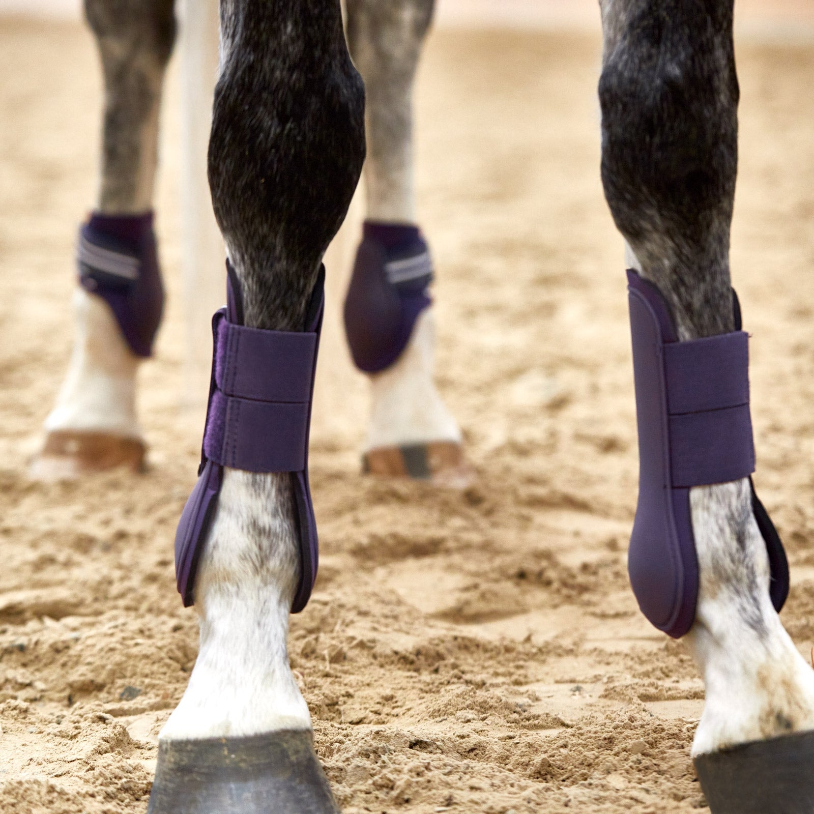 Horze Adepto Tendon Boots Leg & Hoof Protection