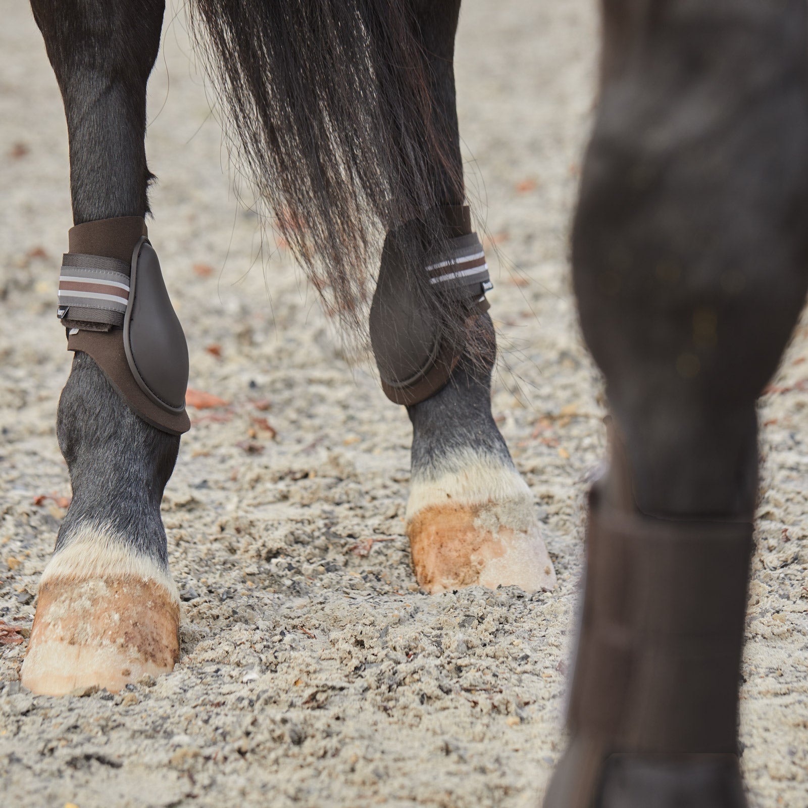 Horze Adepto Fetlock Boots Leg & Hoof Protection