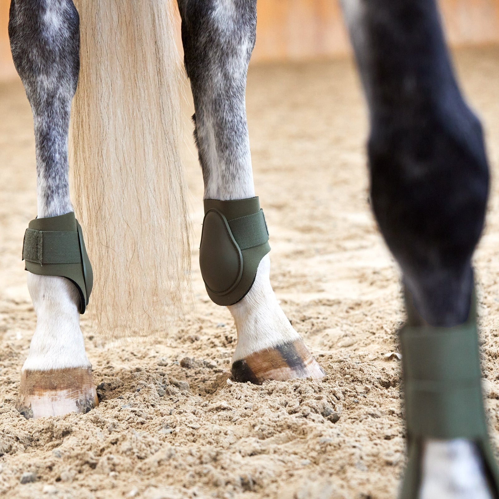 Horze Adepto Fetlock Boots Leg & Hoof Protection