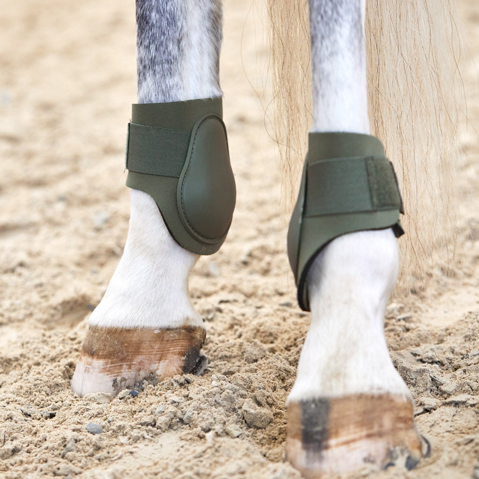 Horze Adepto Fetlock Boots Leg & Hoof Protection