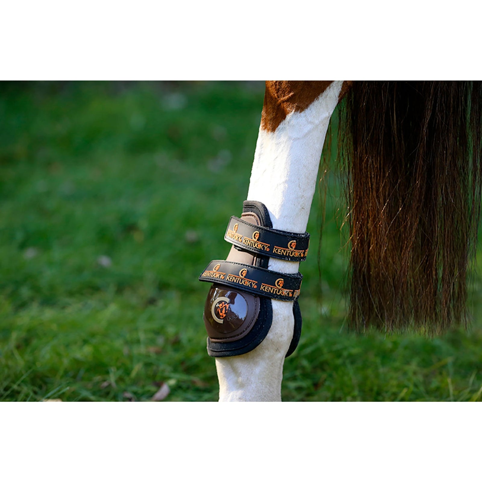 Kentucky Horsewear Armadillo Aero Moonboots Max Leg & Hoof Protection