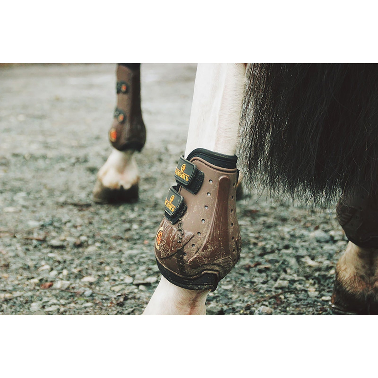 Kentucky Horsewear Armadillo Aero Moonboots Max Leg & Hoof Protection